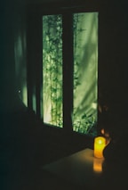 Soft candlelight illuminating a peaceful healing space with plants and soothing decor.
