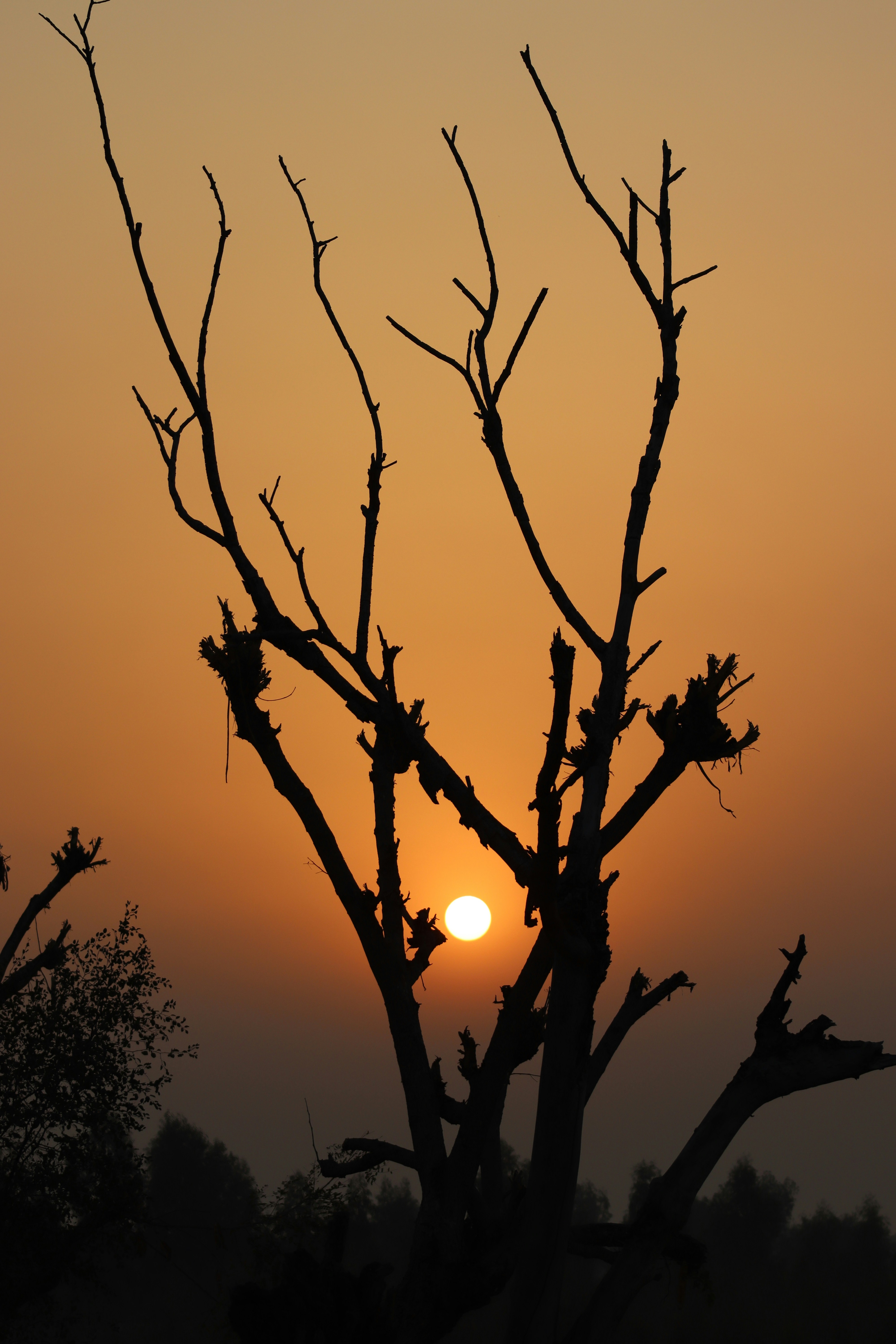 Photo by drphotographer152