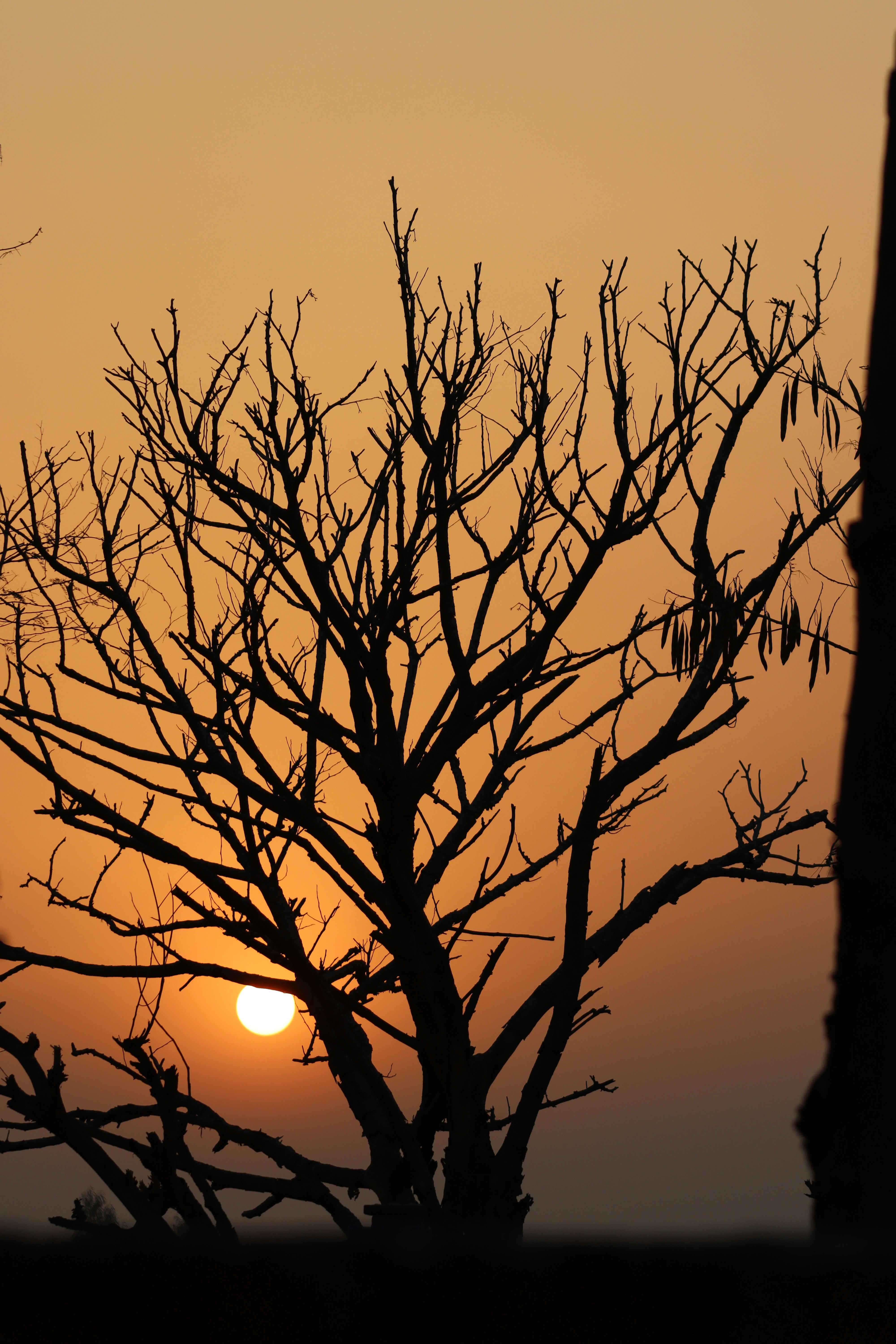 Photo by drphotographer152