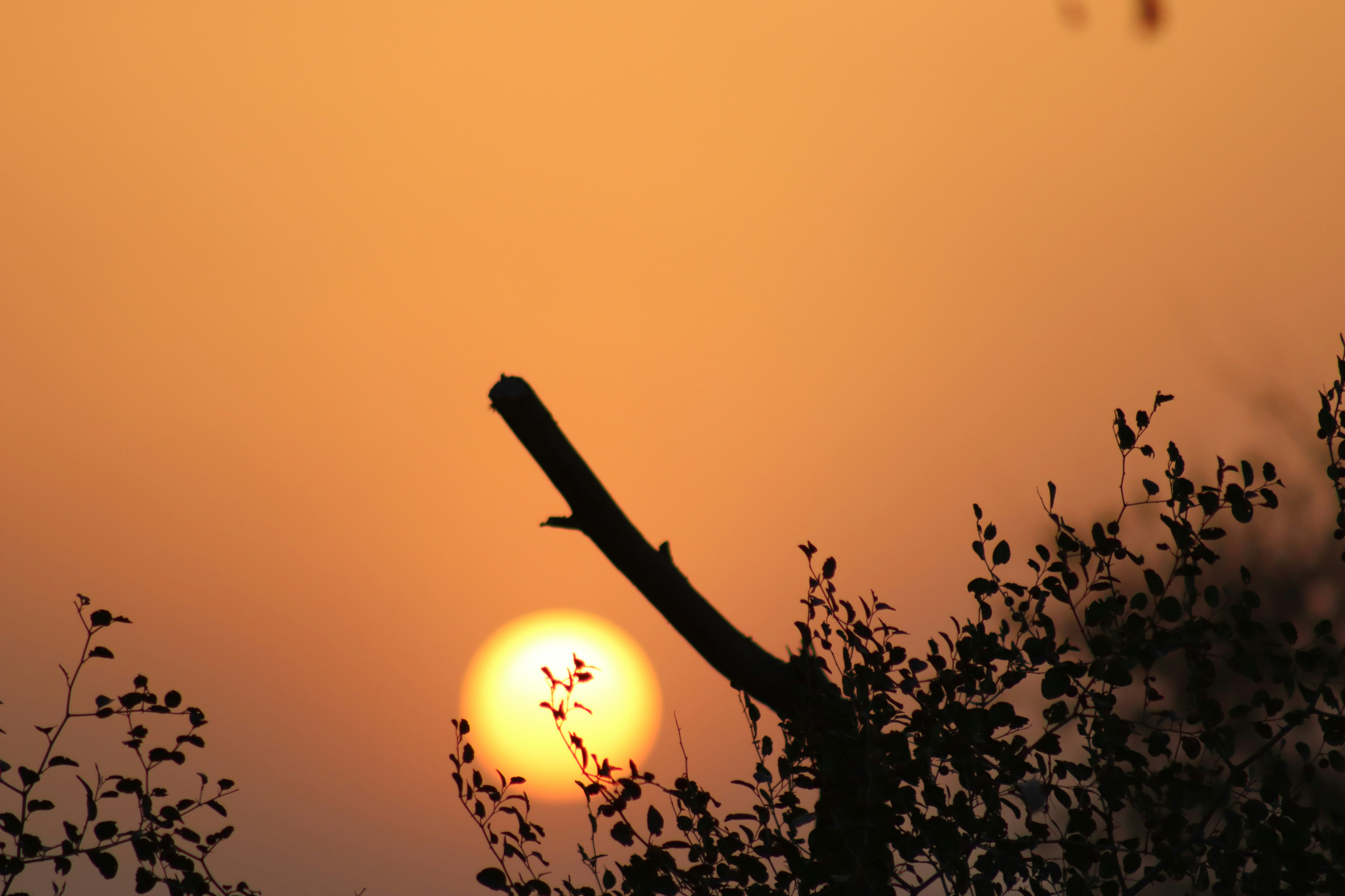 Photo by drphotographer152