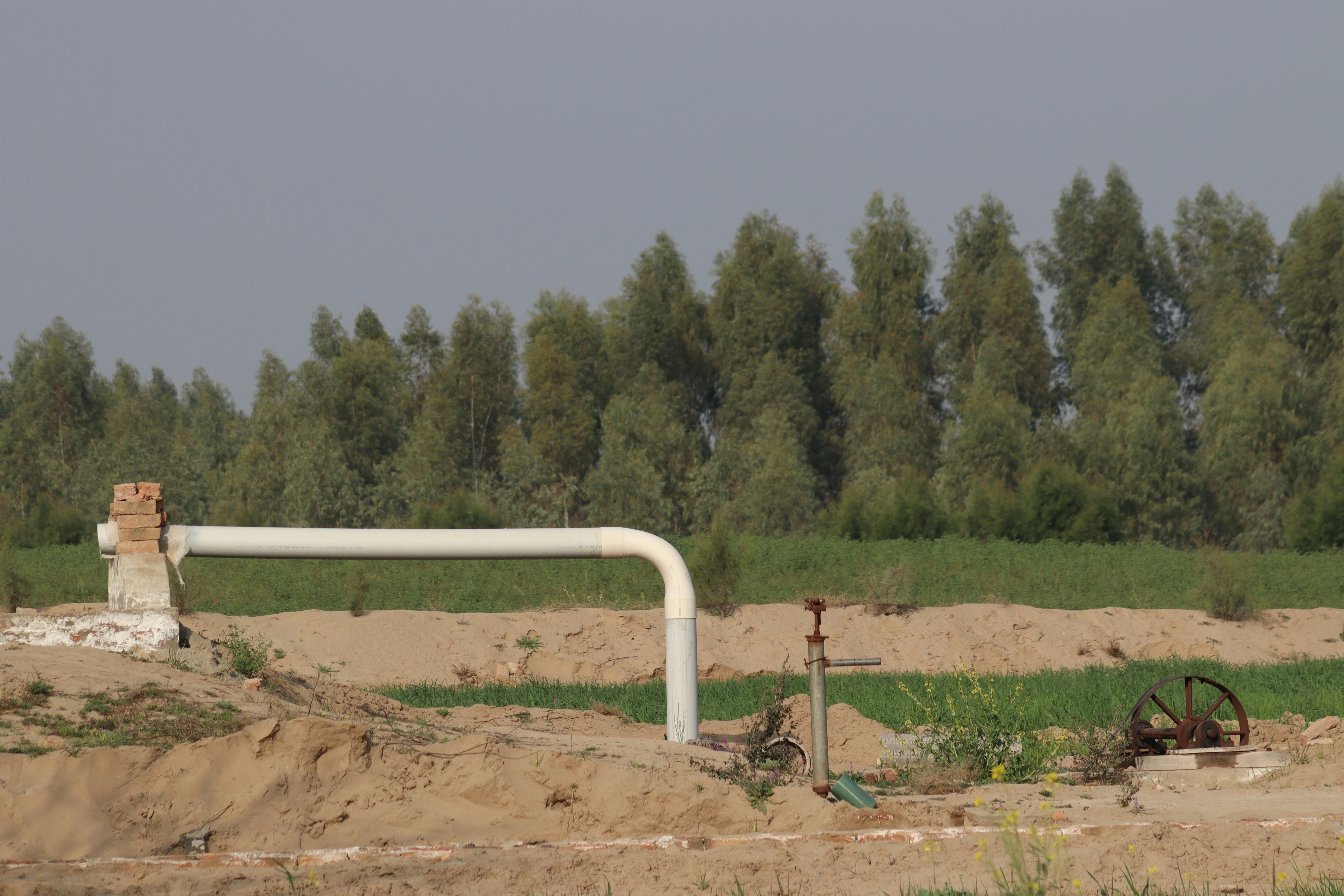 trends and opportunities