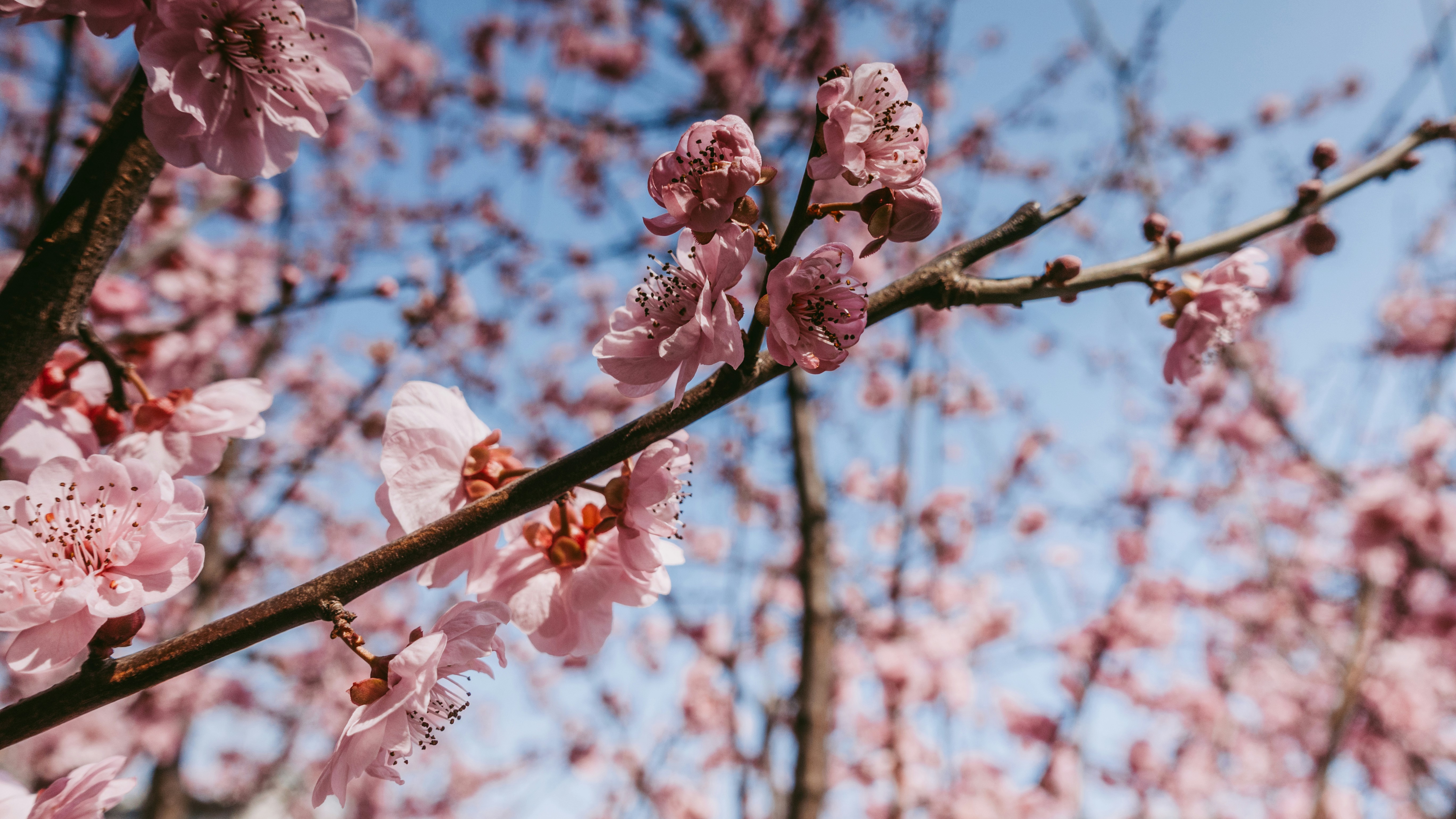 Photo by hypocriteeeee