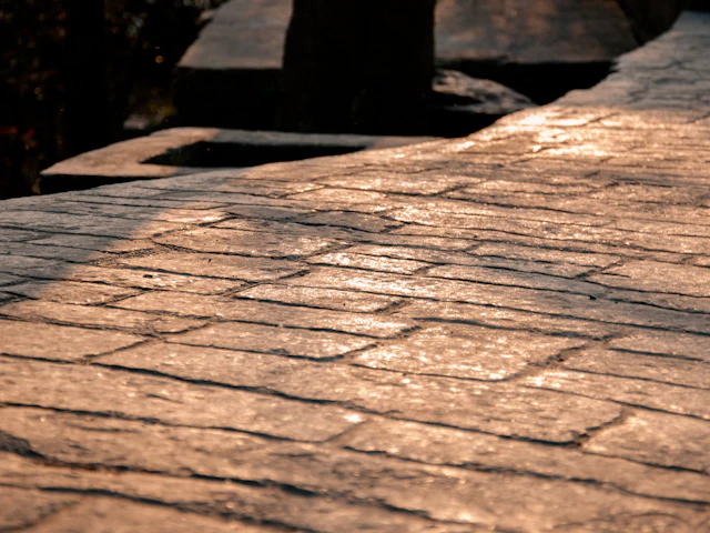 Wood-Look Stamped Walkway in Wilmington, DE