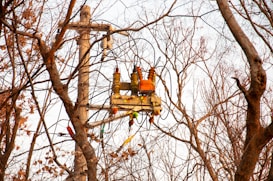 Electric utility equipment is mounted on a pole surrounded by leafless trees. The equipment includes transformers and wires, creating an industrial contrast against the natural background.