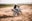 A motorcyclist wearing a helmet is performing a dynamic maneuver on a dirt bike. The bike is kicking up dust as the rider leans into the turn on an open dirt field. A bridge spans the background, creating an expansive outdoor setting.