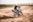 A motorcyclist wearing a helmet is performing a dynamic maneuver on a dirt bike. The bike is kicking up dust as the rider leans into the turn on an open dirt field. A bridge spans the background, creating an expansive outdoor setting.