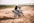 A motorcyclist wearing a helmet is performing a dynamic maneuver on a dirt bike. The bike is kicking up dust as the rider leans into the turn on an open dirt field. A bridge spans the background, creating an expansive outdoor setting.