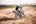 A motorcyclist wearing a helmet is performing a dynamic maneuver on a dirt bike. The bike is kicking up dust as the rider leans into the turn on an open dirt field. A bridge spans the background, creating an expansive outdoor setting.