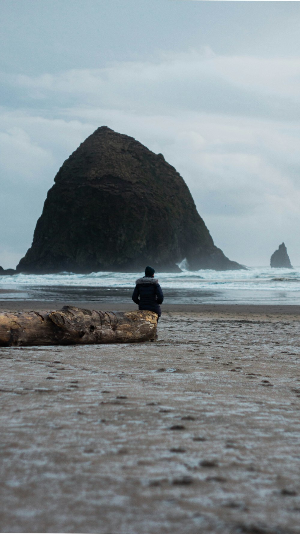 a person sitting on a log on a beach