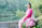 A smiling woman enjoying the peaceful garden at Sanskriti Stay in Rishikesh.