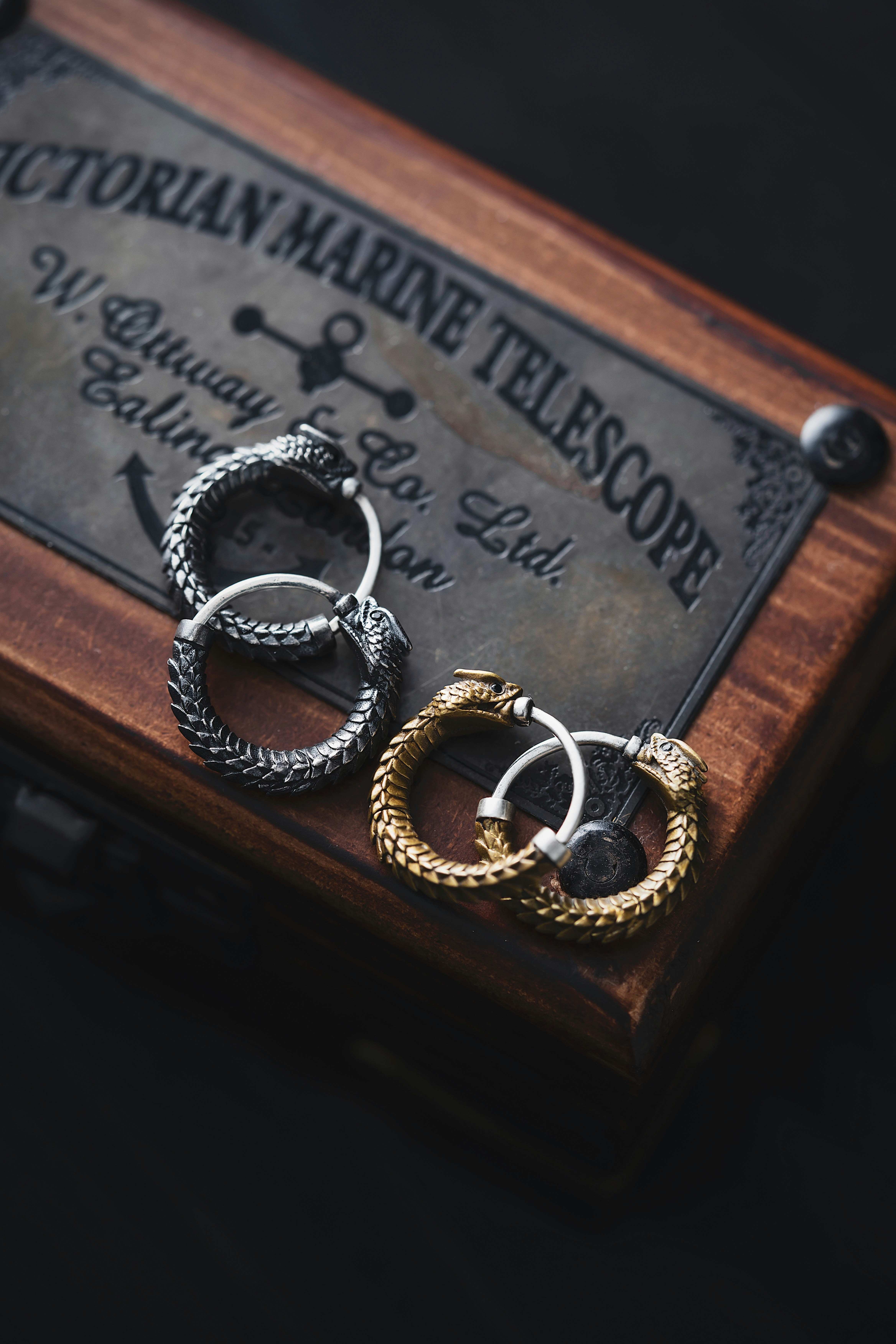 Ouroboros Earrings