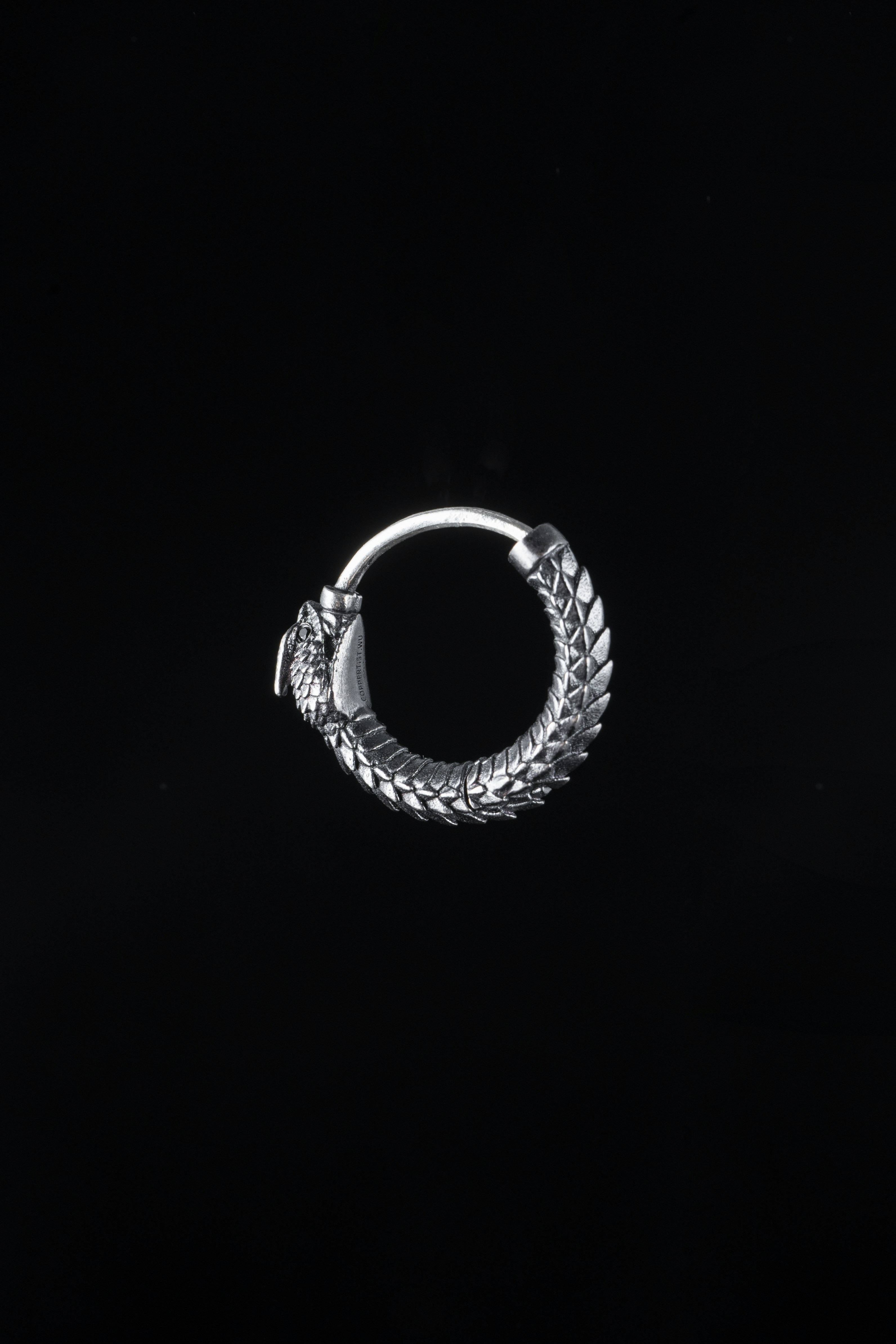 Photo by coppertistwu