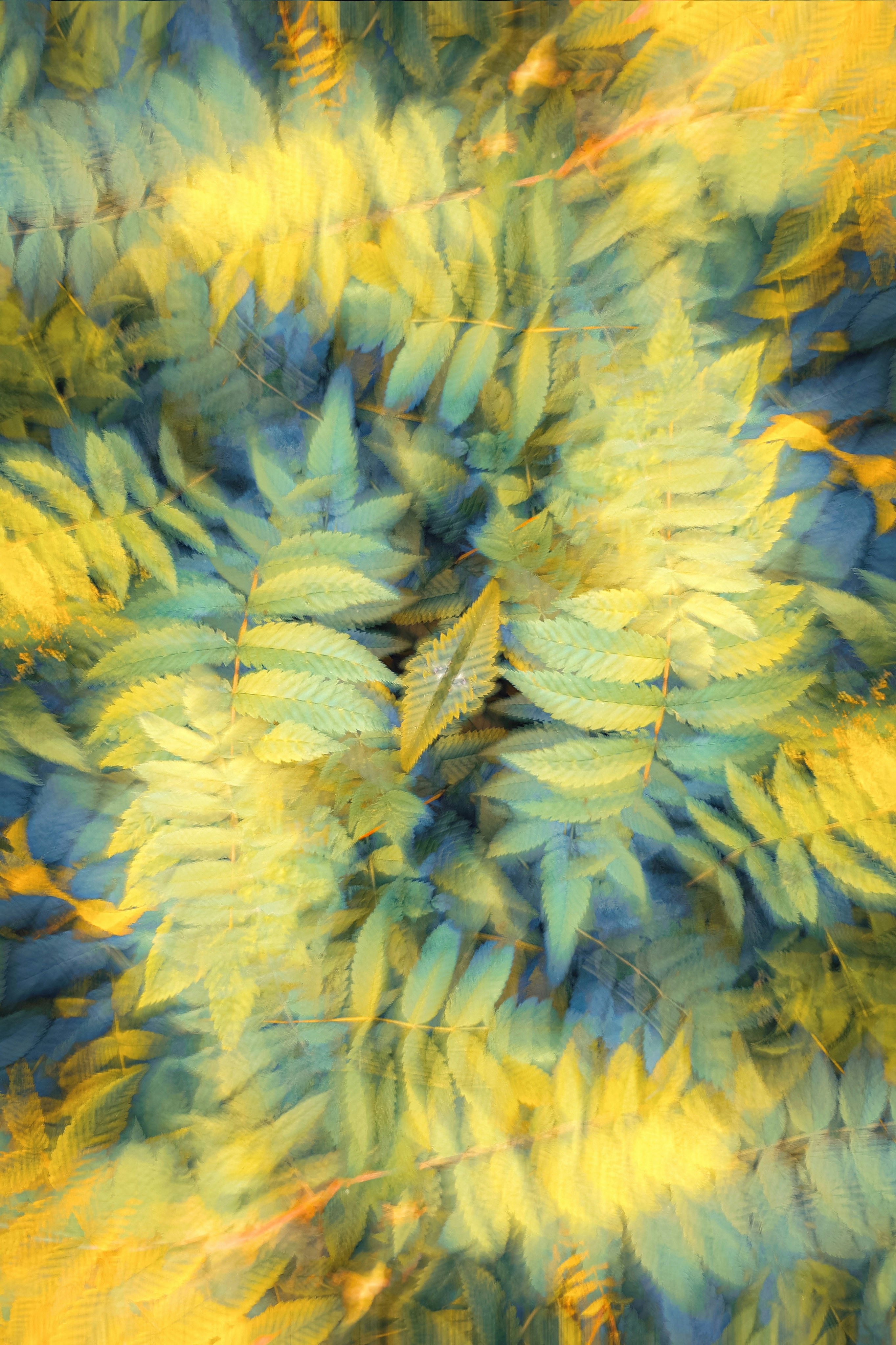 Photo by eugene_golovesov