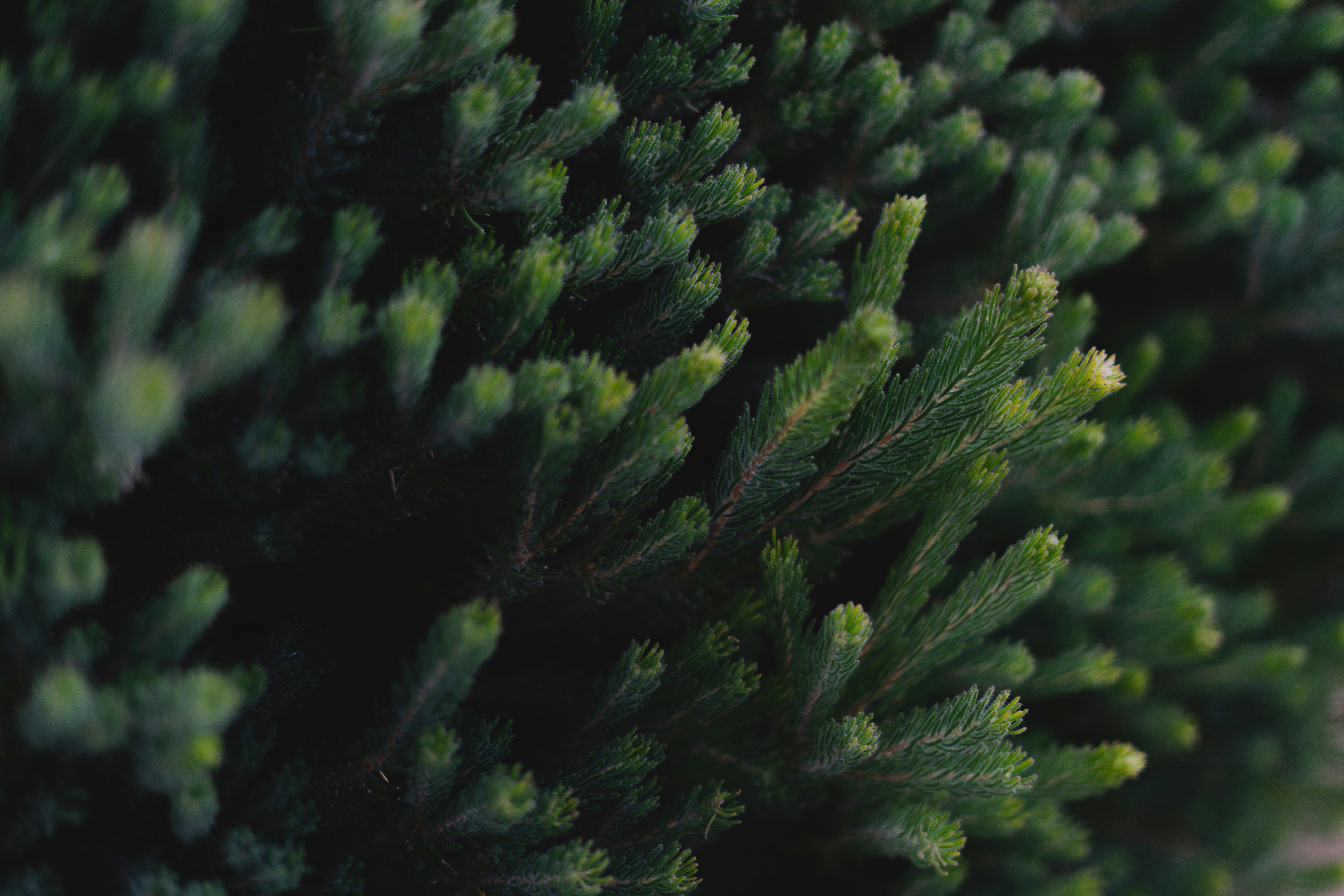 Photo by kenkuo_melb