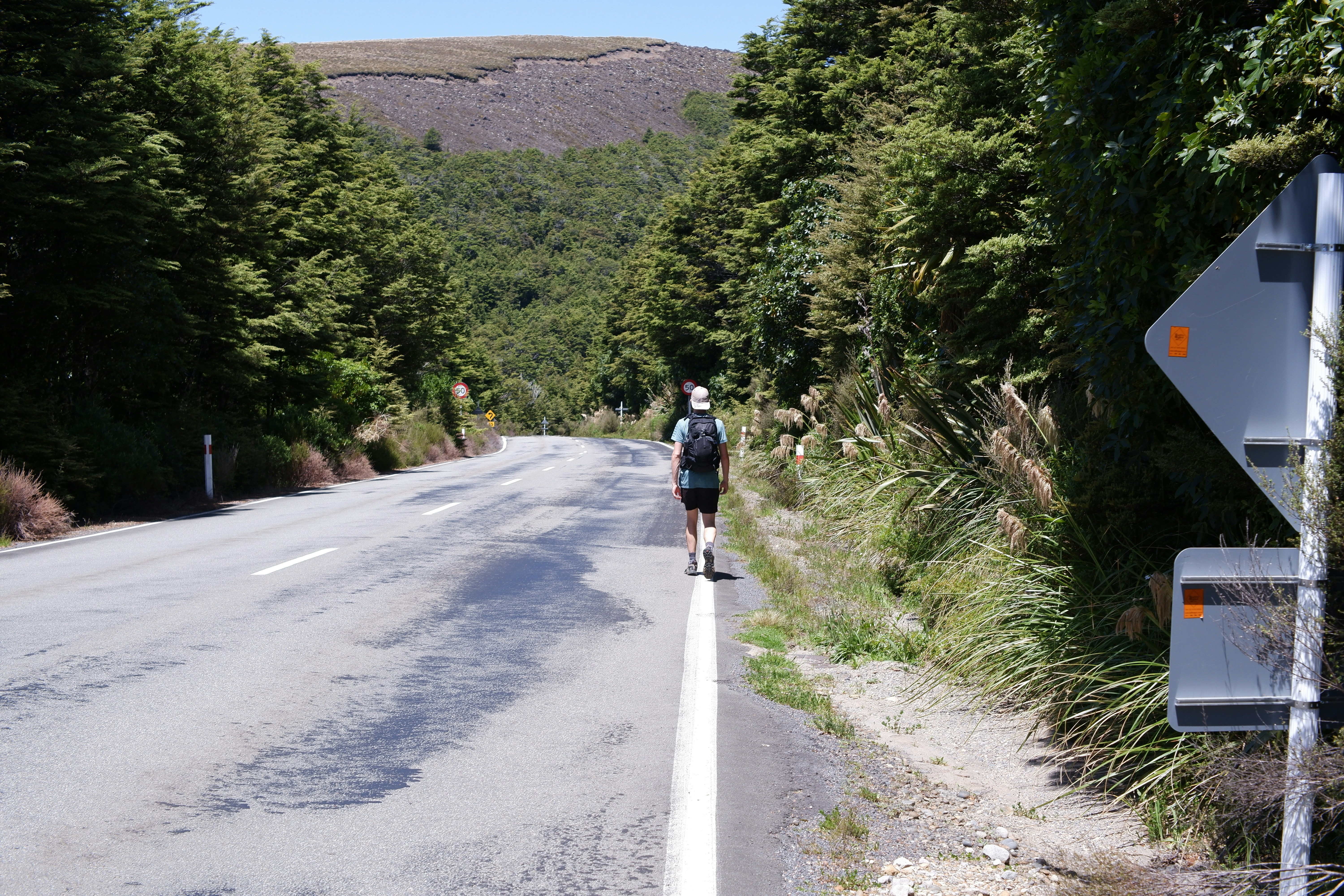 a man walking down a road next to a forest