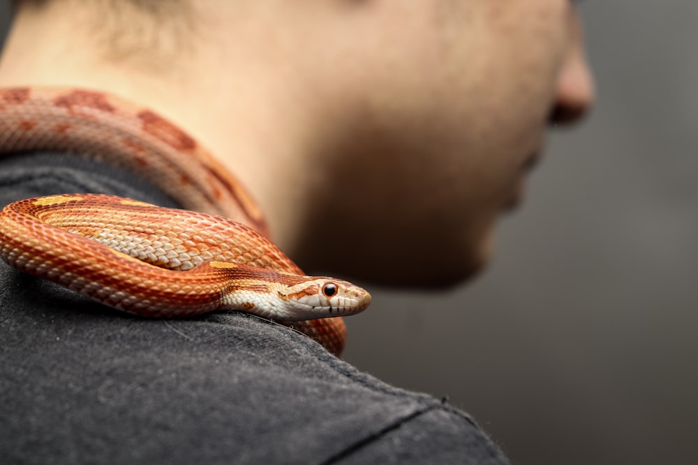 a close up of a person holding a snake