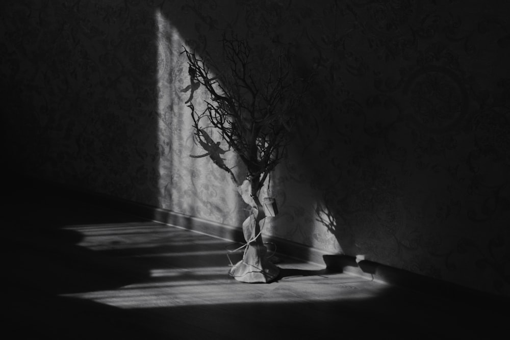 a black and white photo of a tree in a room