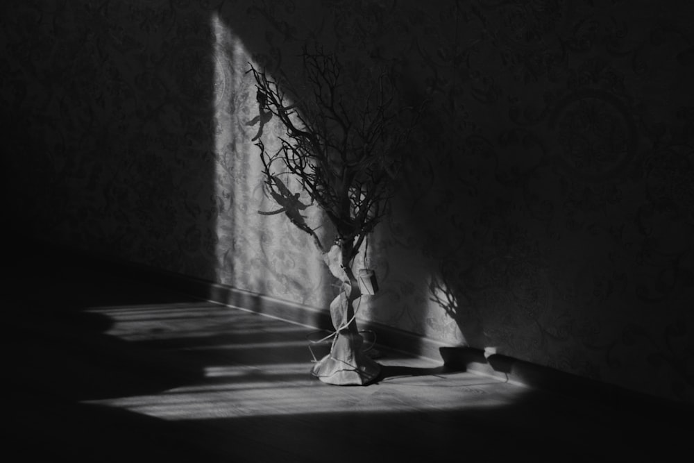 une photo en noir et blanc d’un arbre dans une pièce