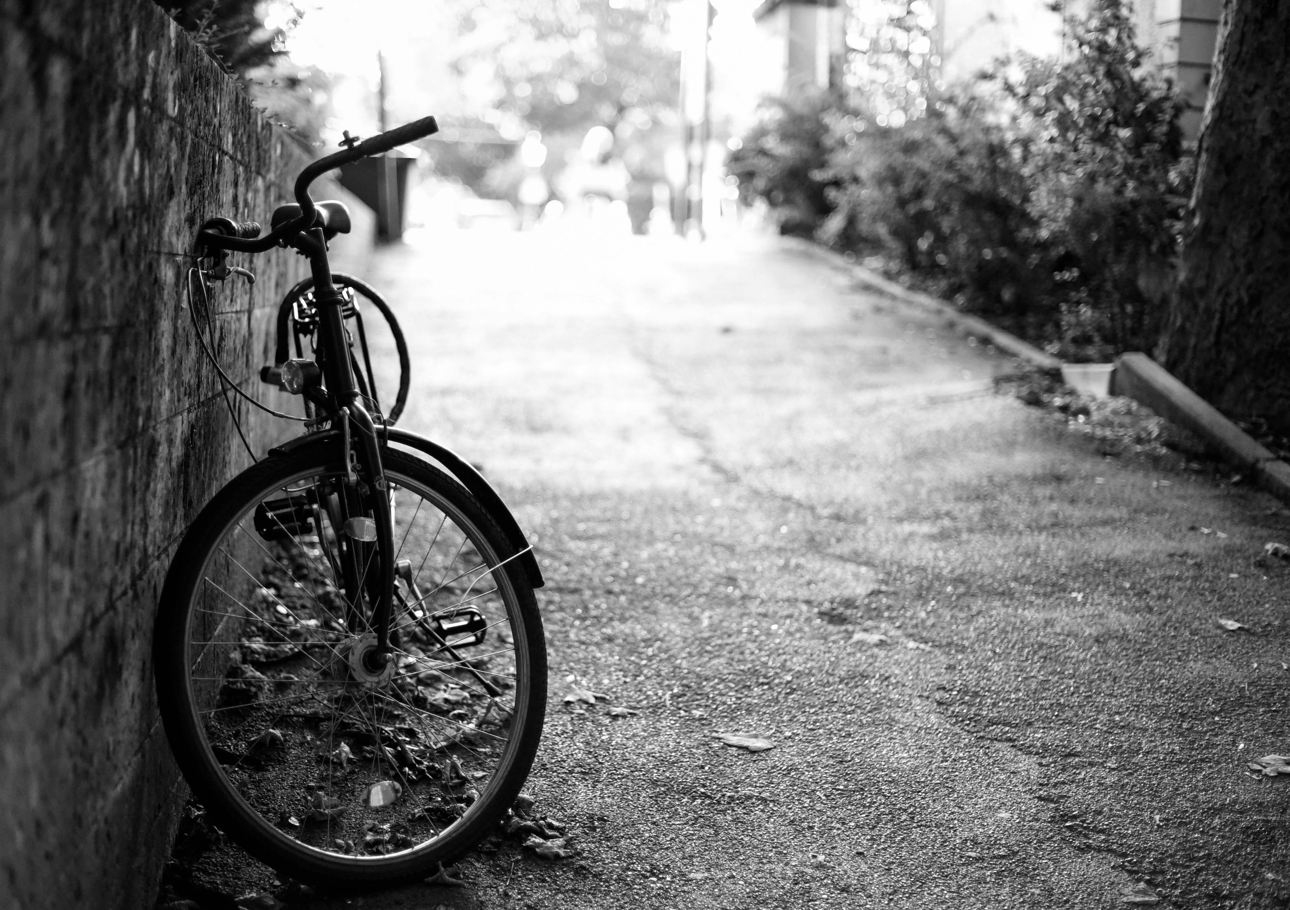 Photo by morning_mood