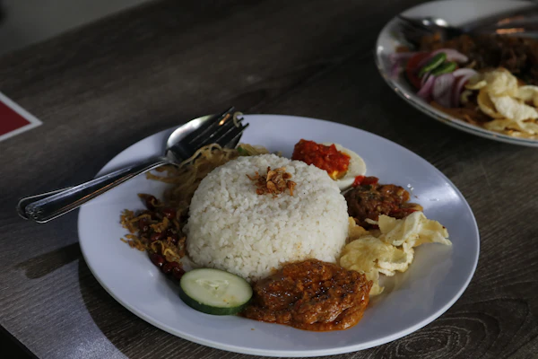 Sepinggan nasi dengan lauk ayam
