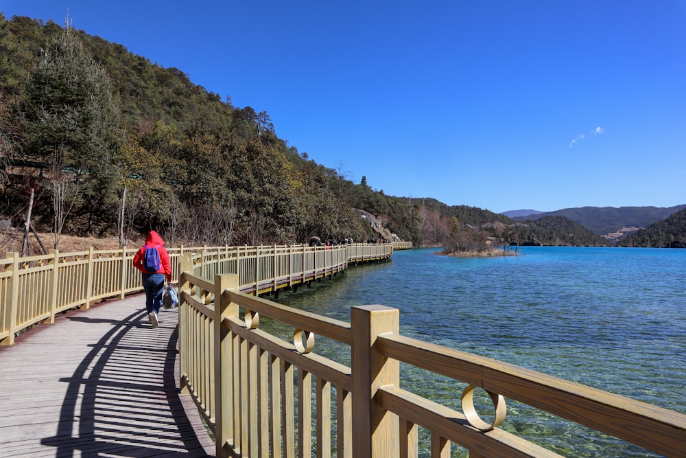 a person walking on a bridge over a body of water