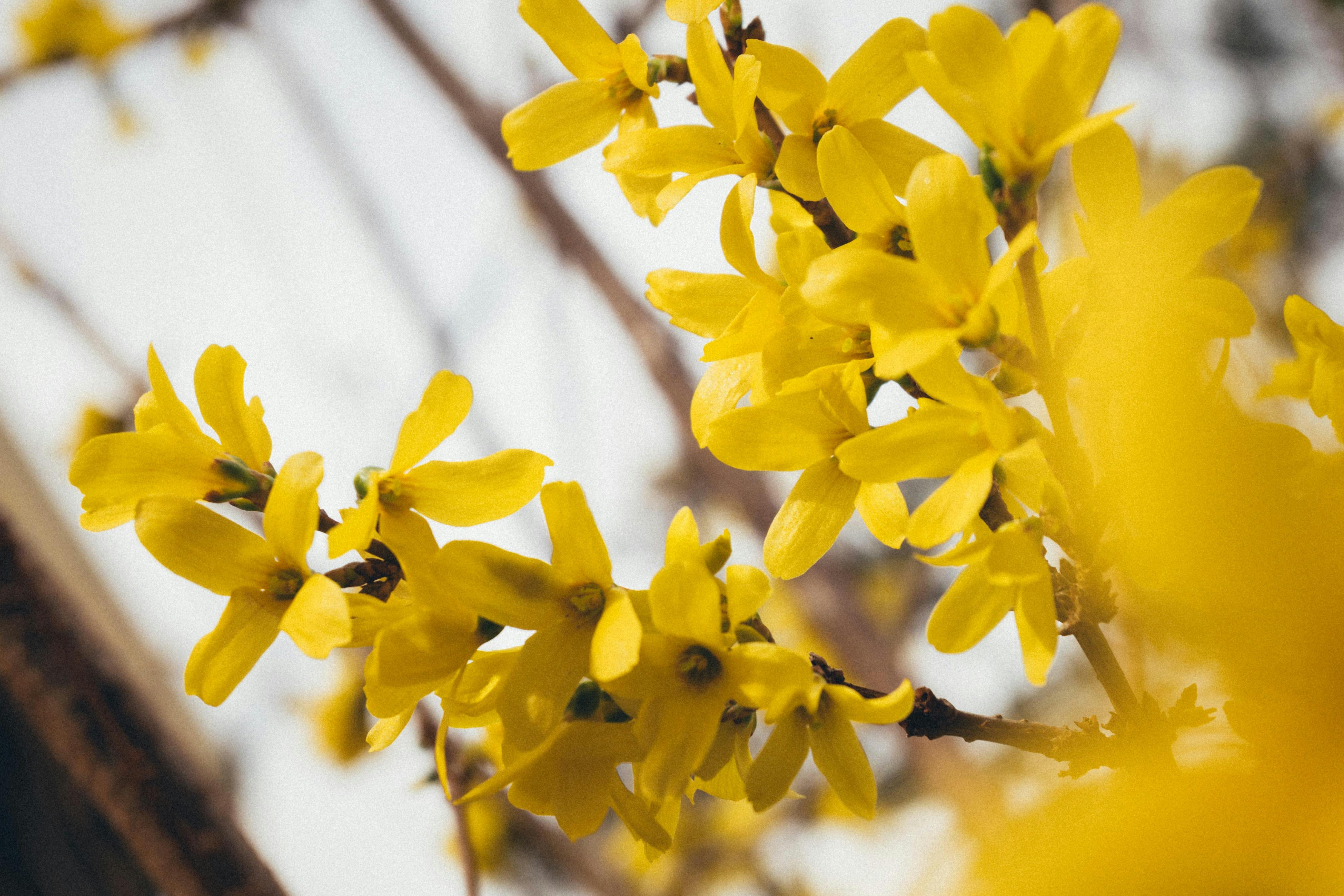 Photo by michela_serventi