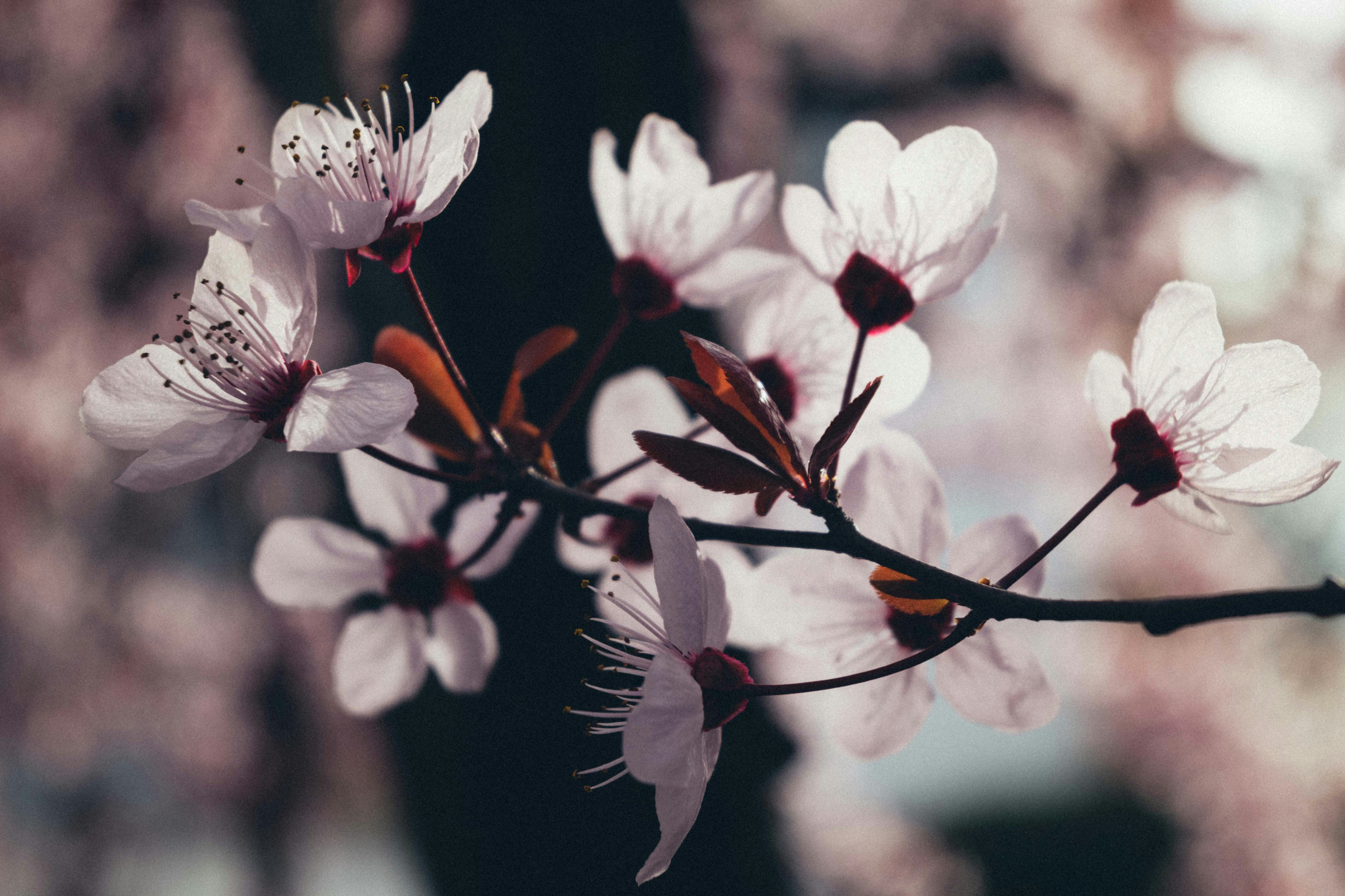 Photo by michela_serventi