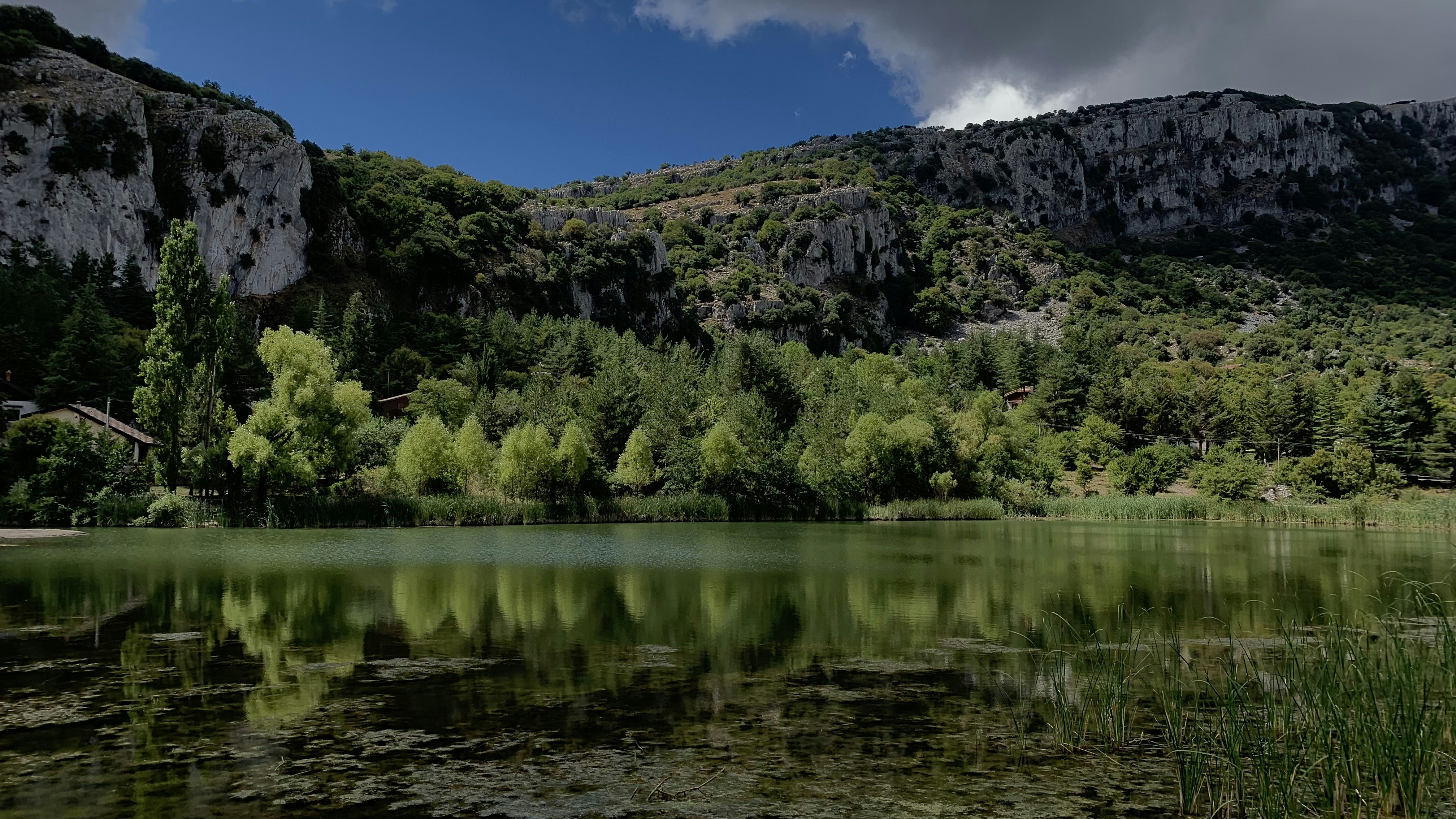 Photo by francescaplatania