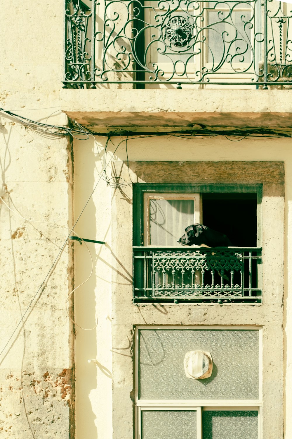 a cat sitting on a balcony of a building