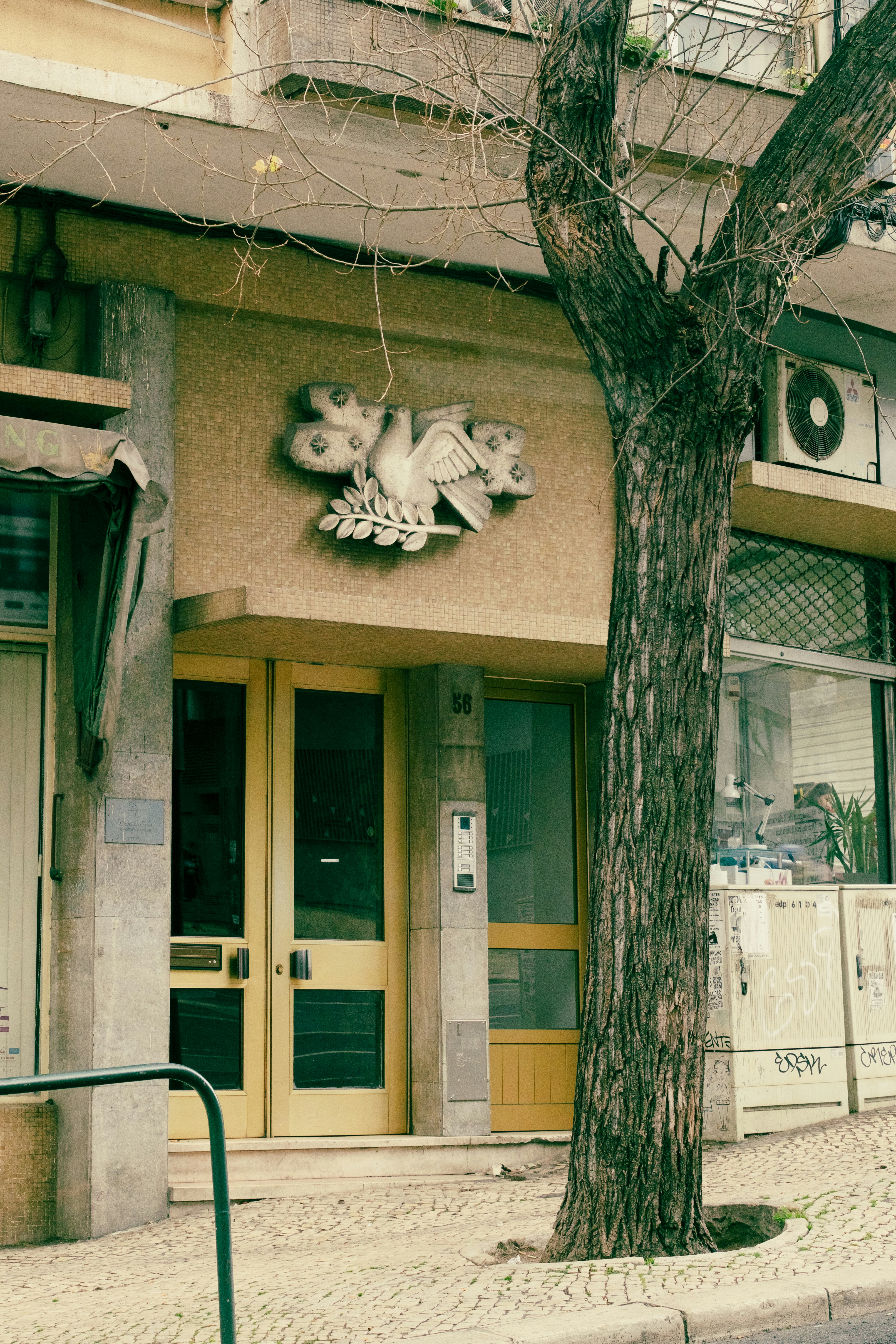 Photo by burcinergunt