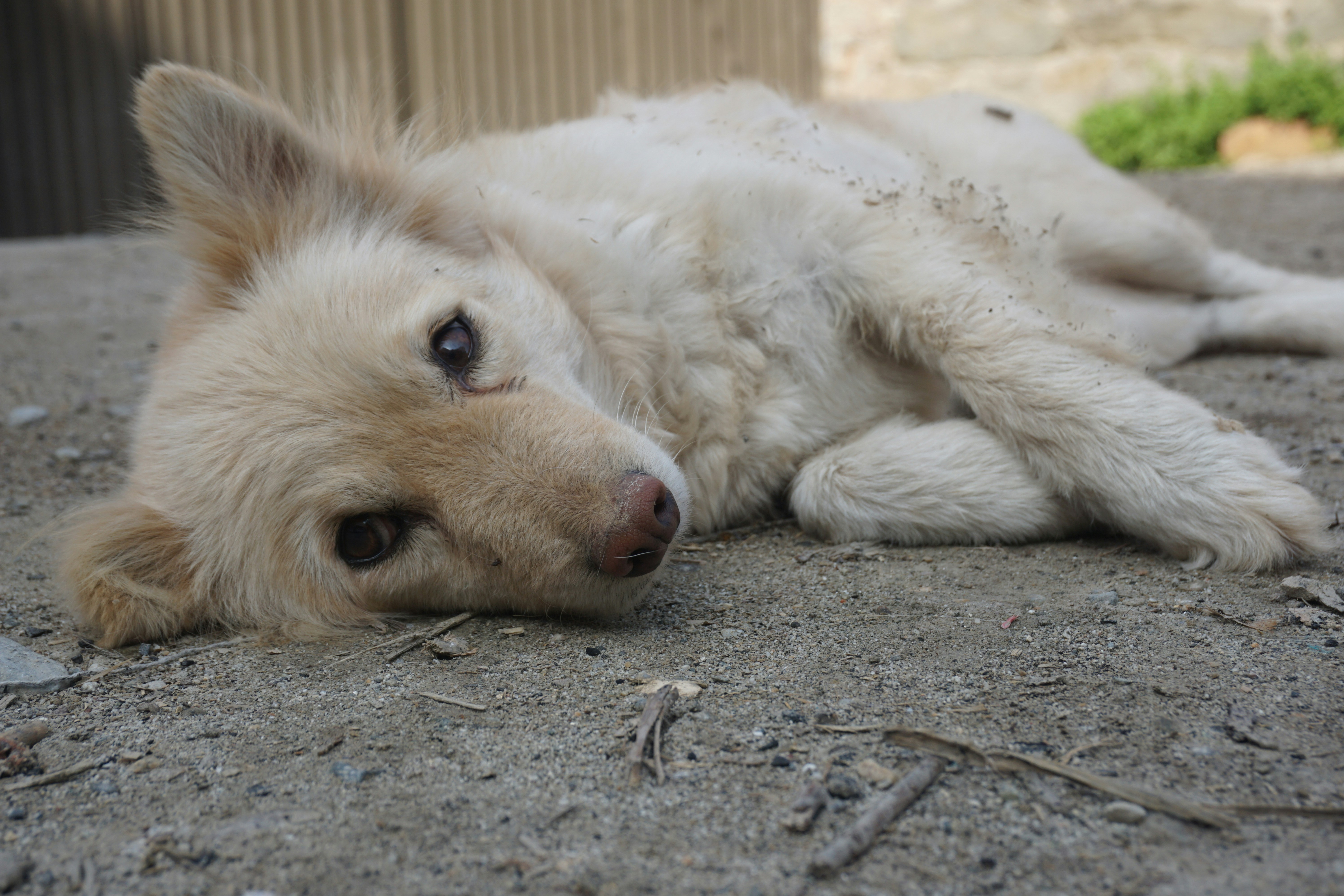 Photo by salmansaqib