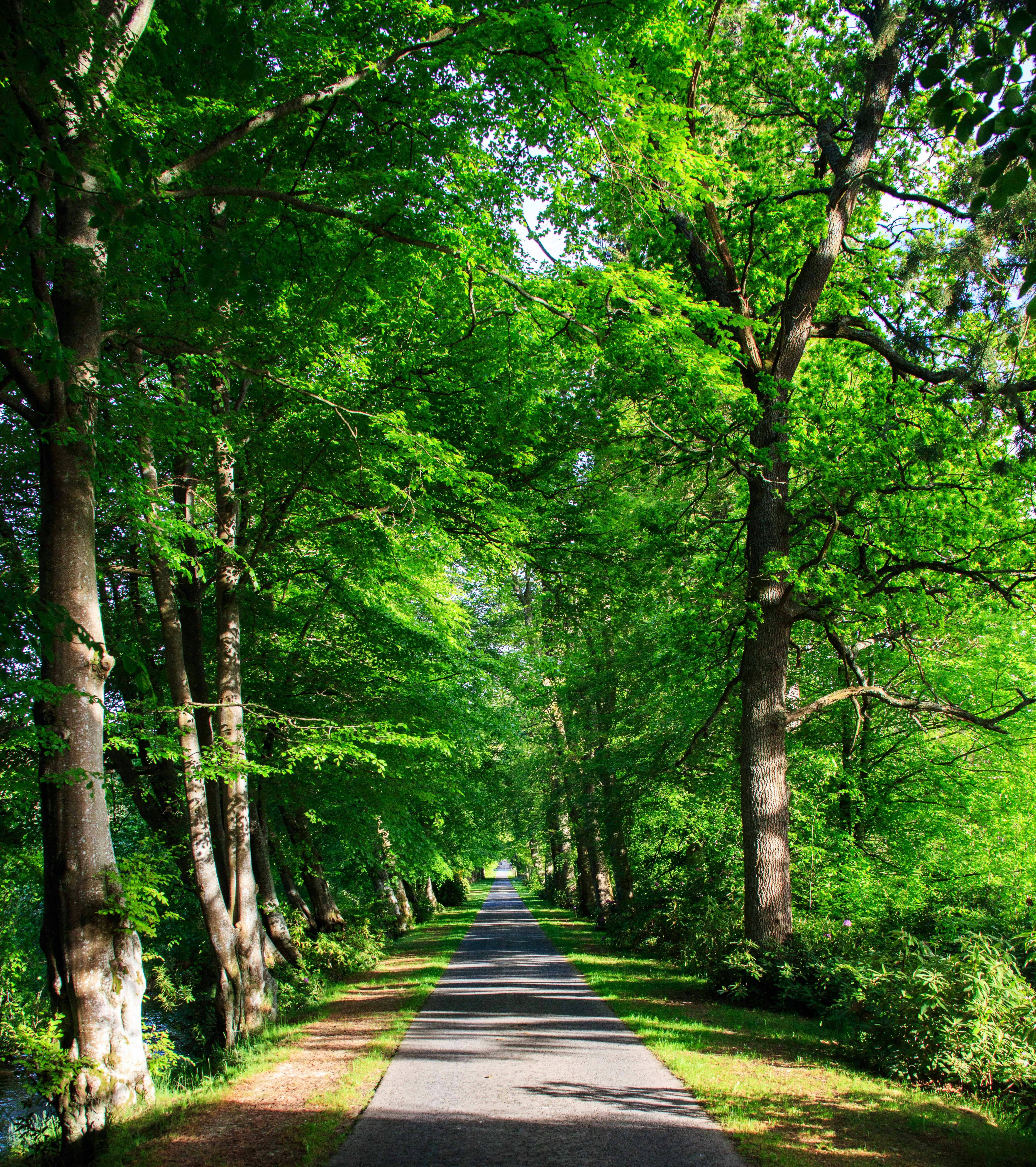 Photo by martinbennie