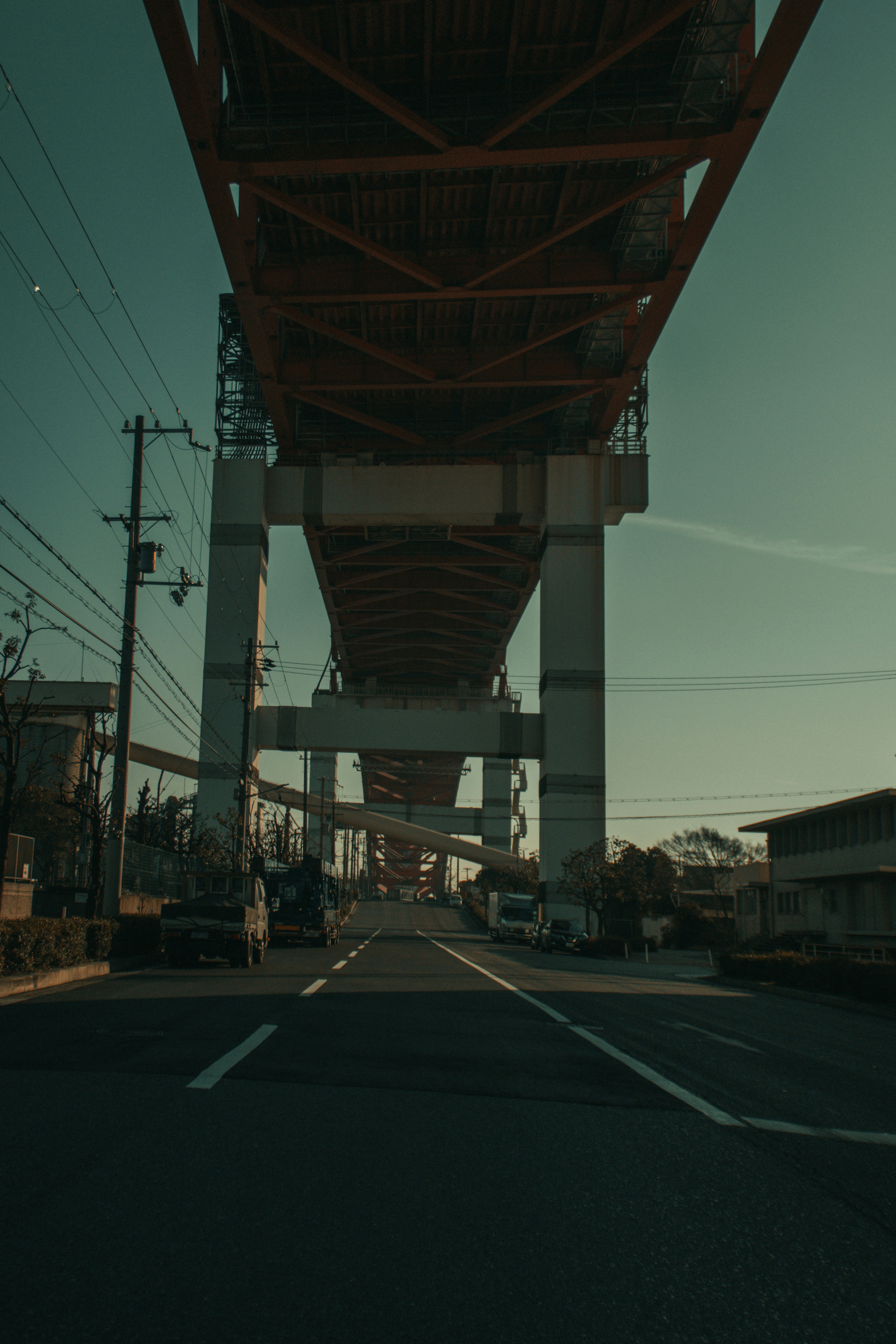 Photo by nominomi