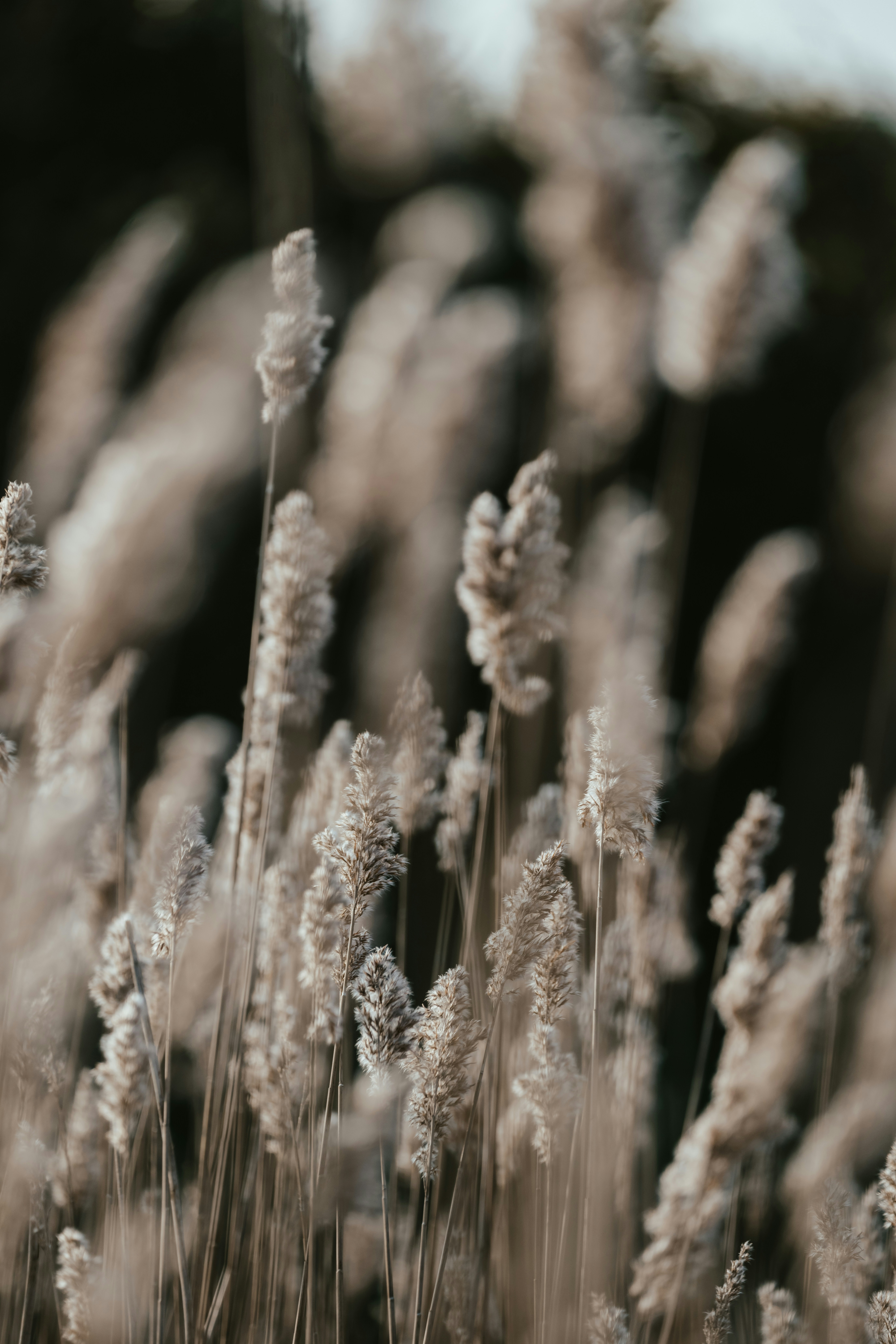 Photo by anniespratt