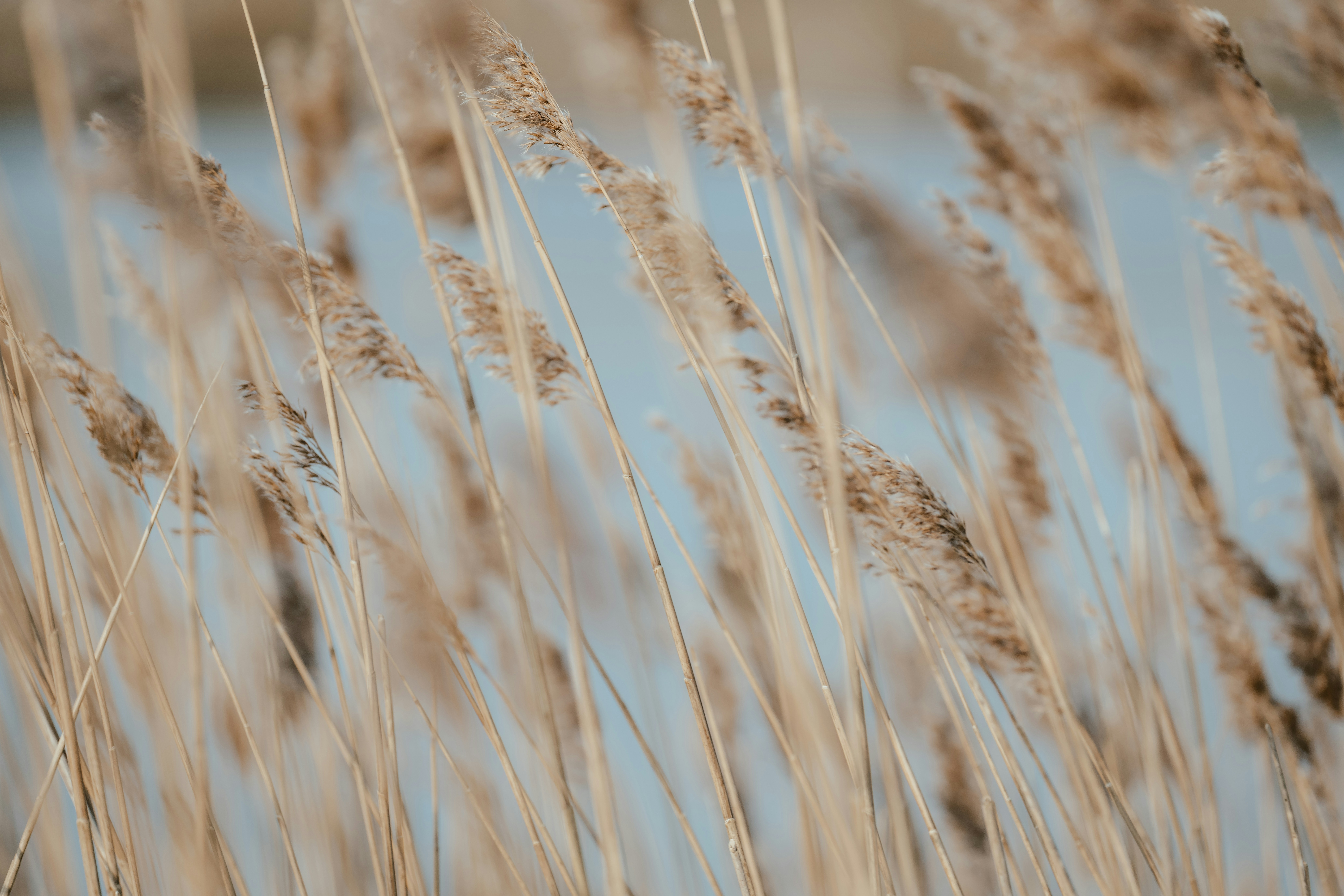 Photo by anniespratt