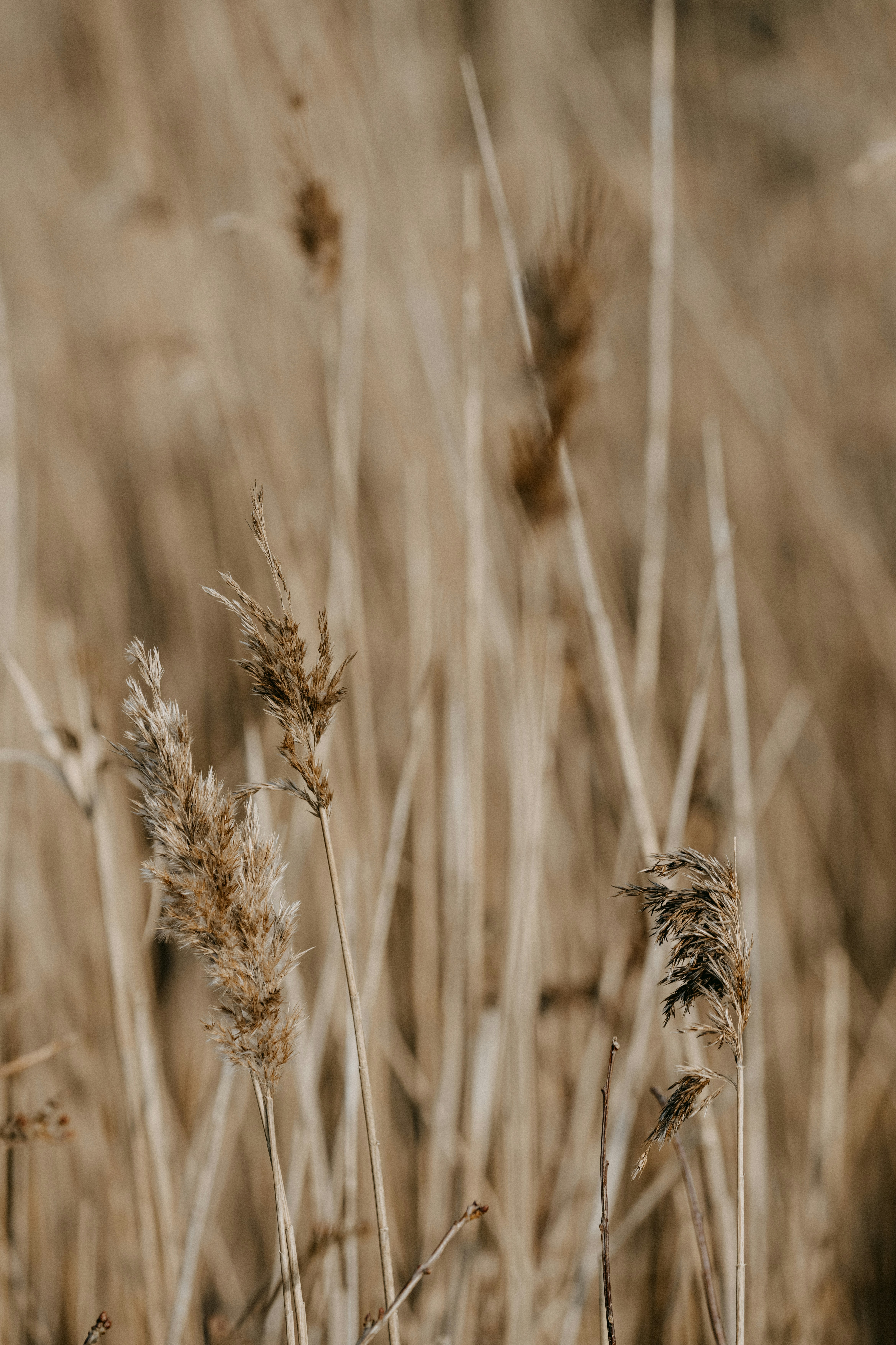 Photo by anniespratt