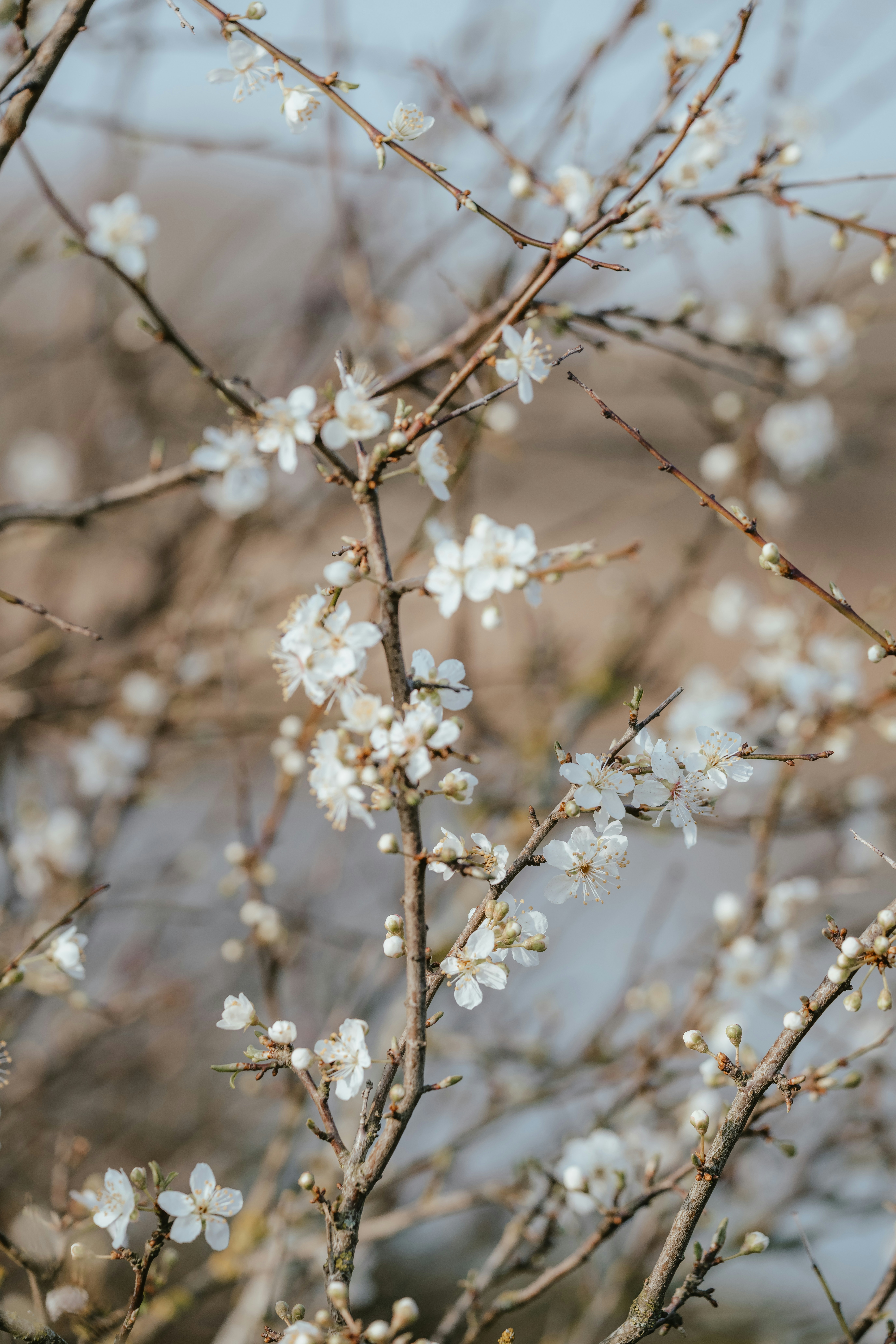 Photo by anniespratt