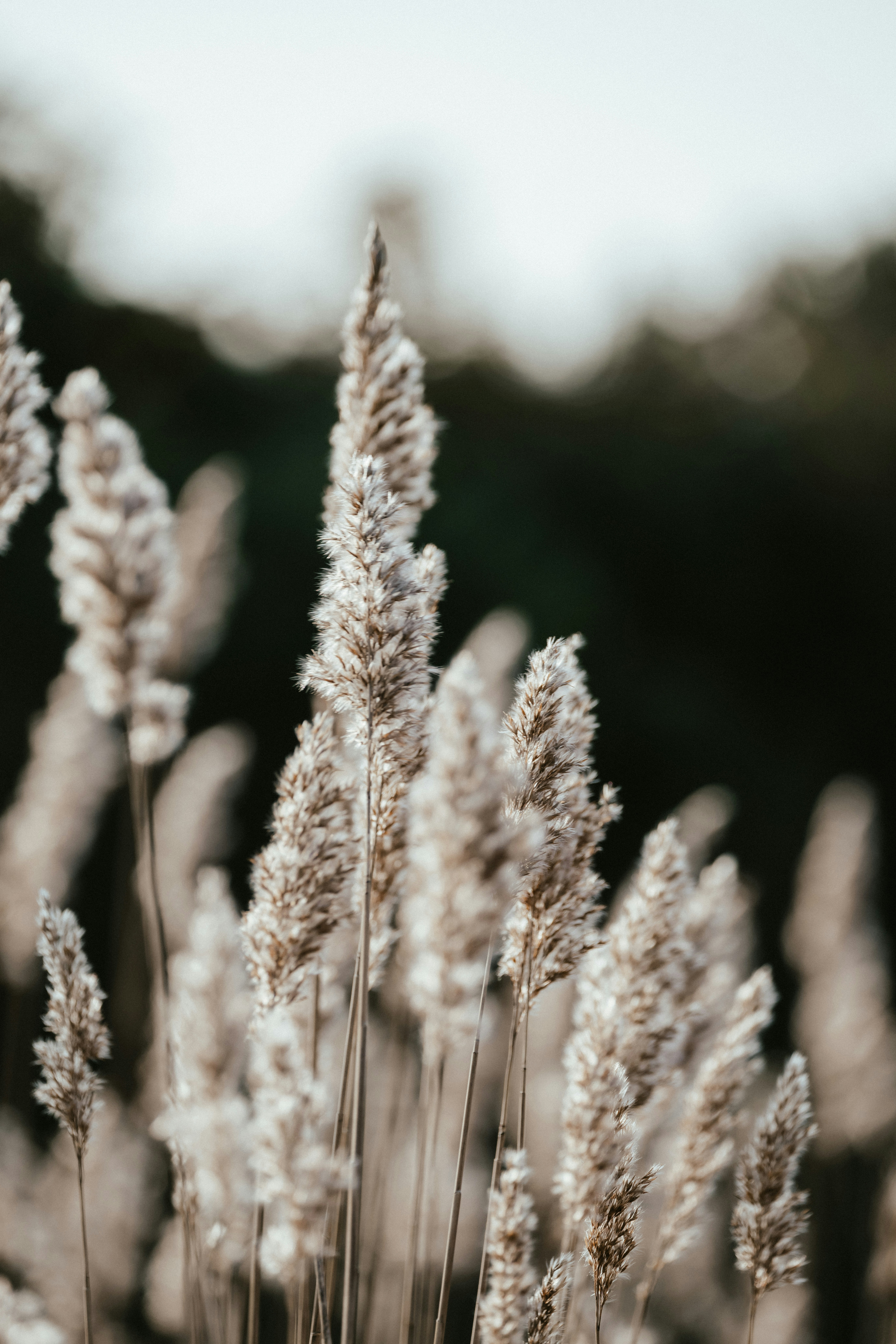 Photo by anniespratt