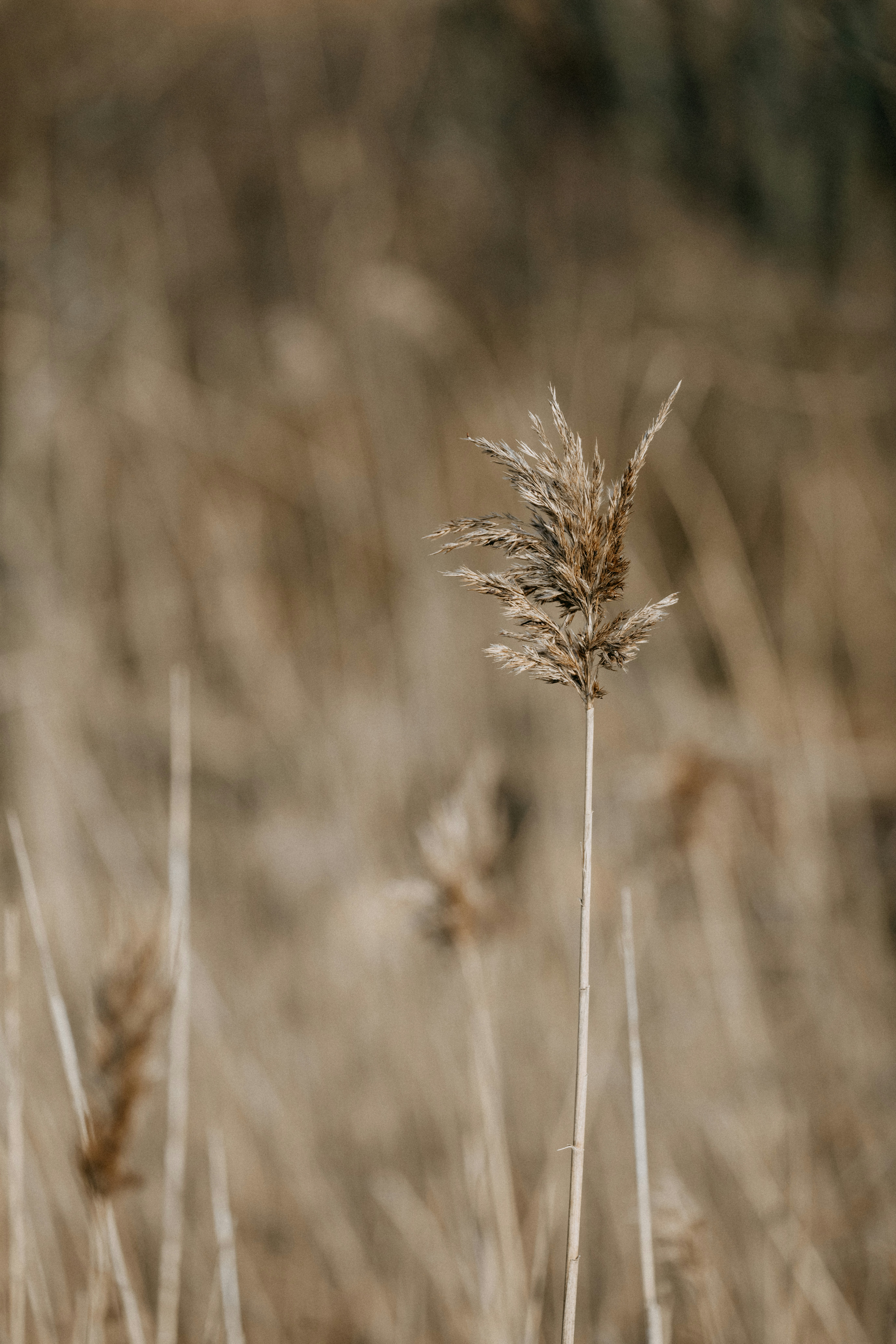 Photo by anniespratt