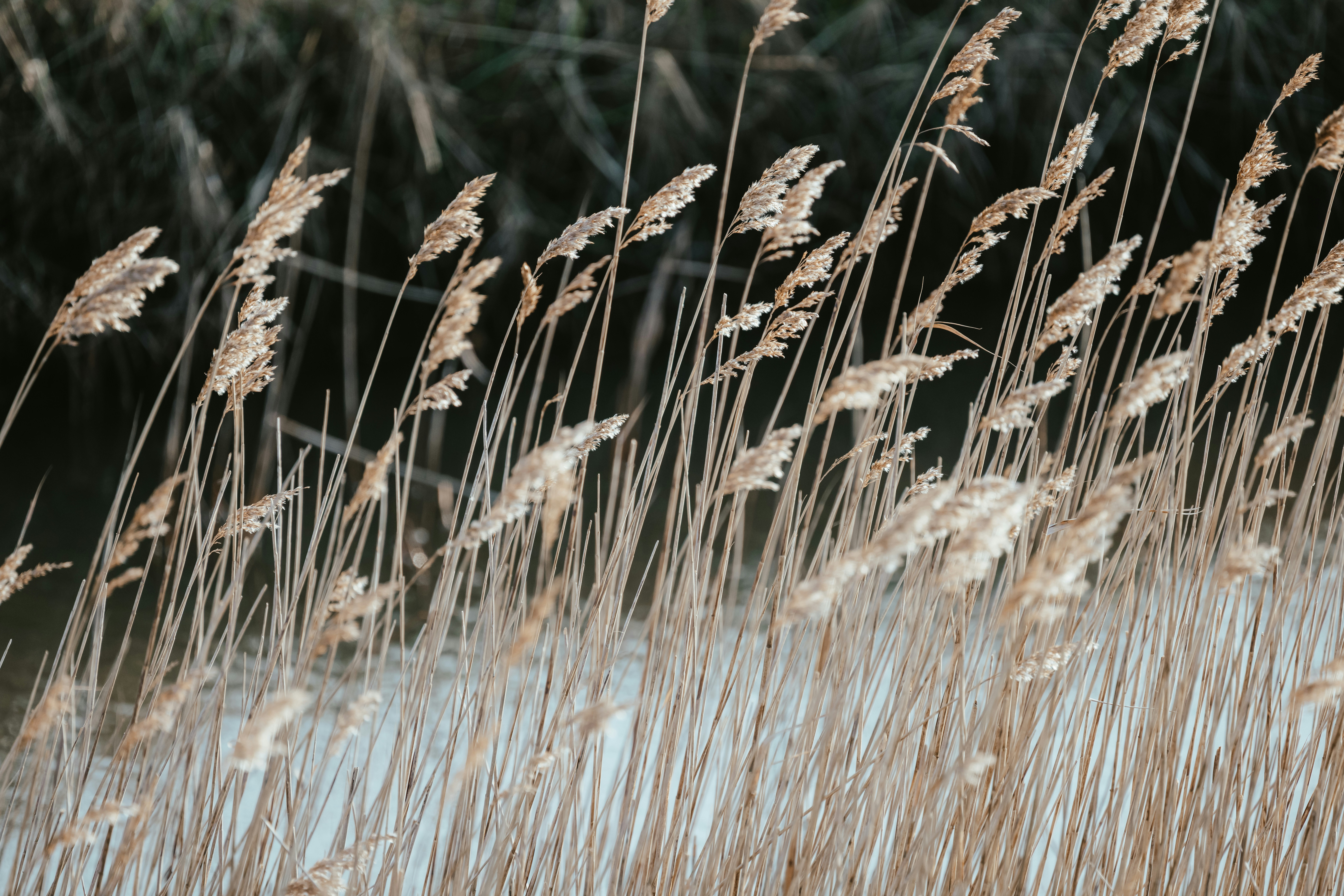 Photo by anniespratt