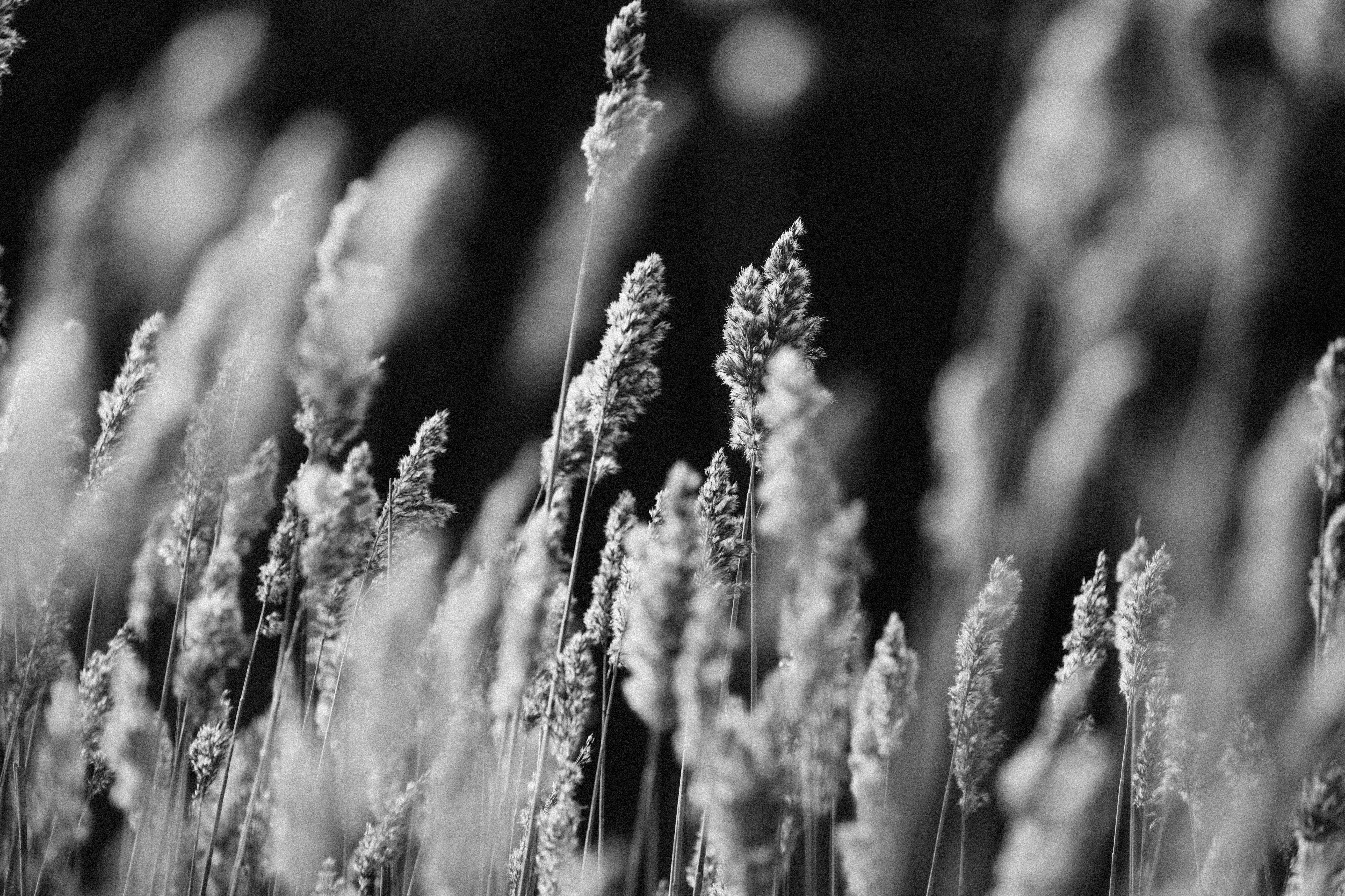 Photo by anniespratt