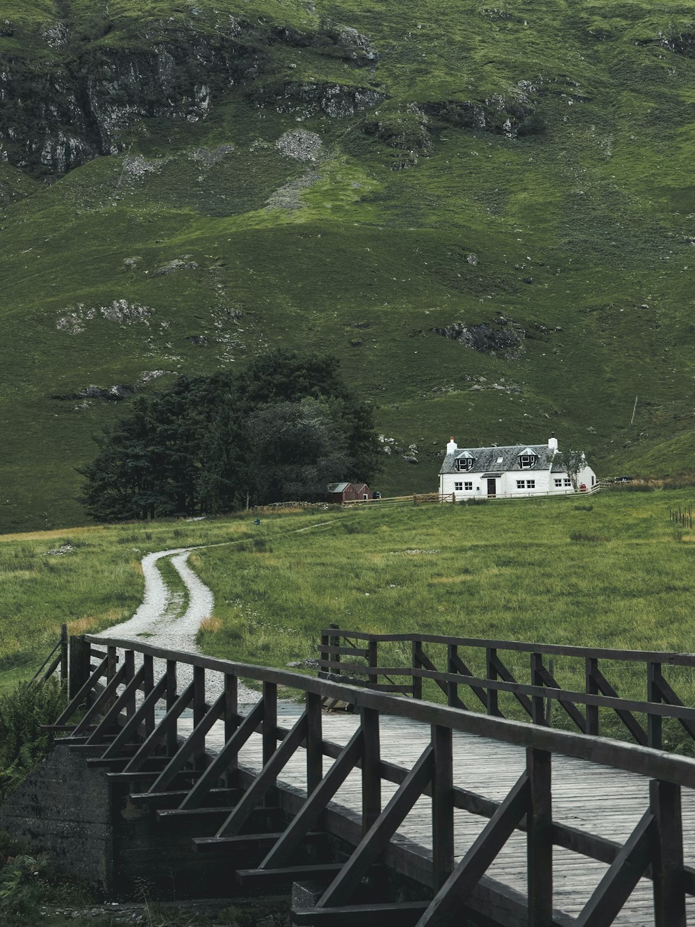 Una casa en medio de un campo verde