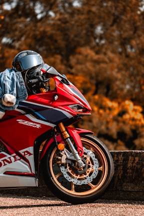 A red sport motorcycle with gold wheels is parked on a road next to a concrete barrier. The background features autumn-colored trees, creating a warm, rustic setting. The motorcycle has a sleek design with a noticeable Honda logo.