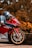 A red sport motorcycle with gold wheels is parked on a road next to a concrete barrier. The background features autumn-colored trees, creating a warm, rustic setting. The motorcycle has a sleek design with a noticeable Honda logo.