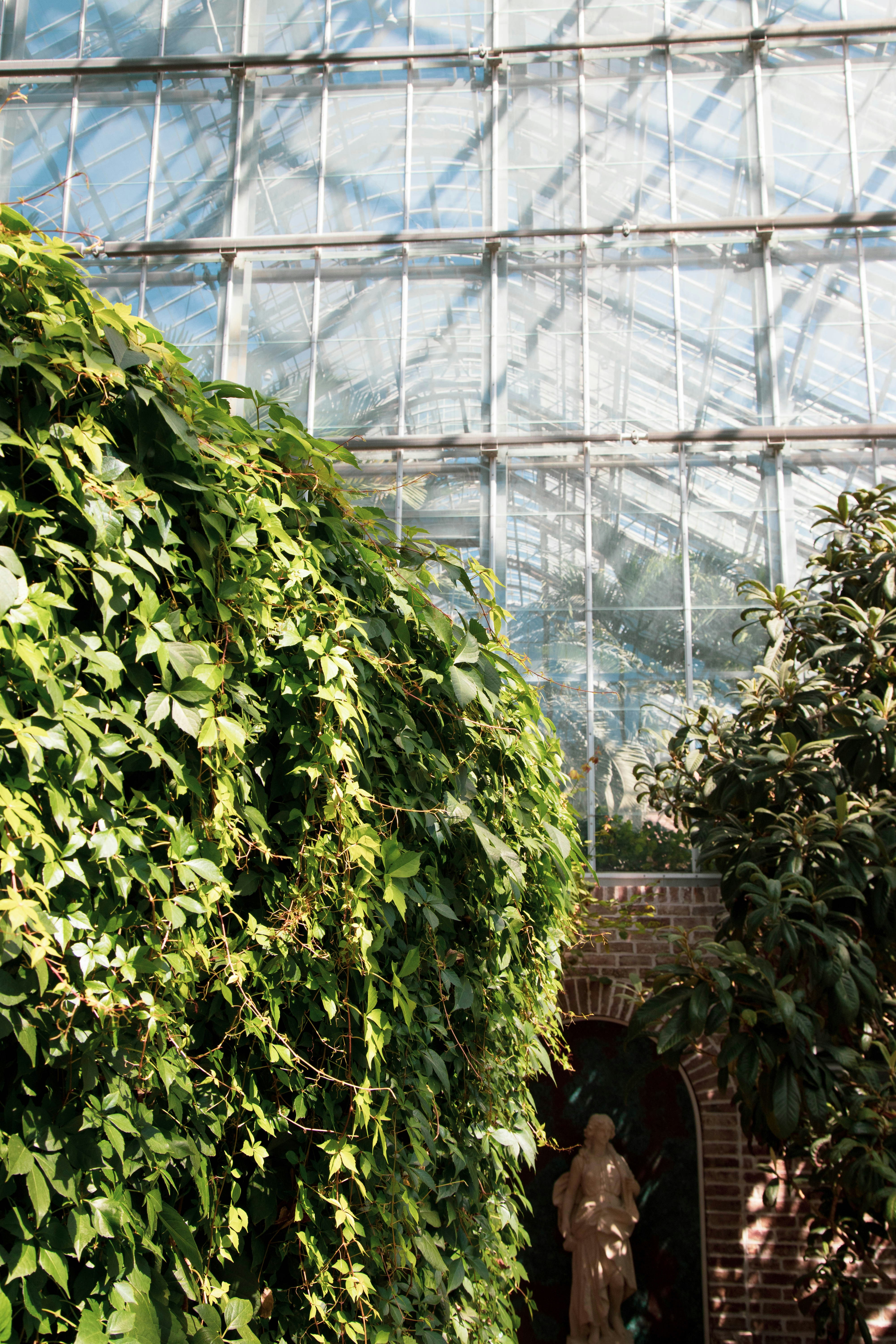 Photo by brennankicks