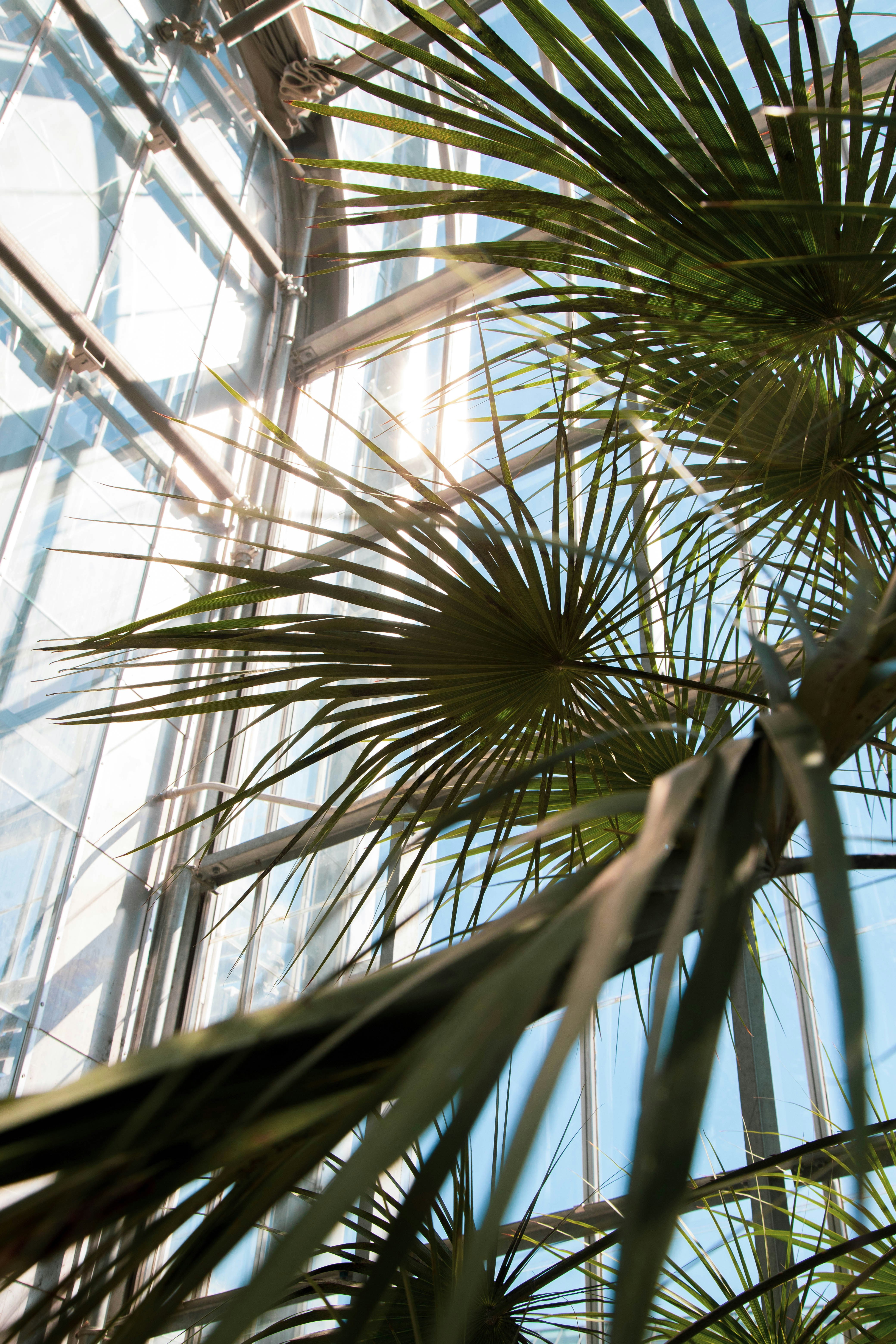 Photo by brennankicks