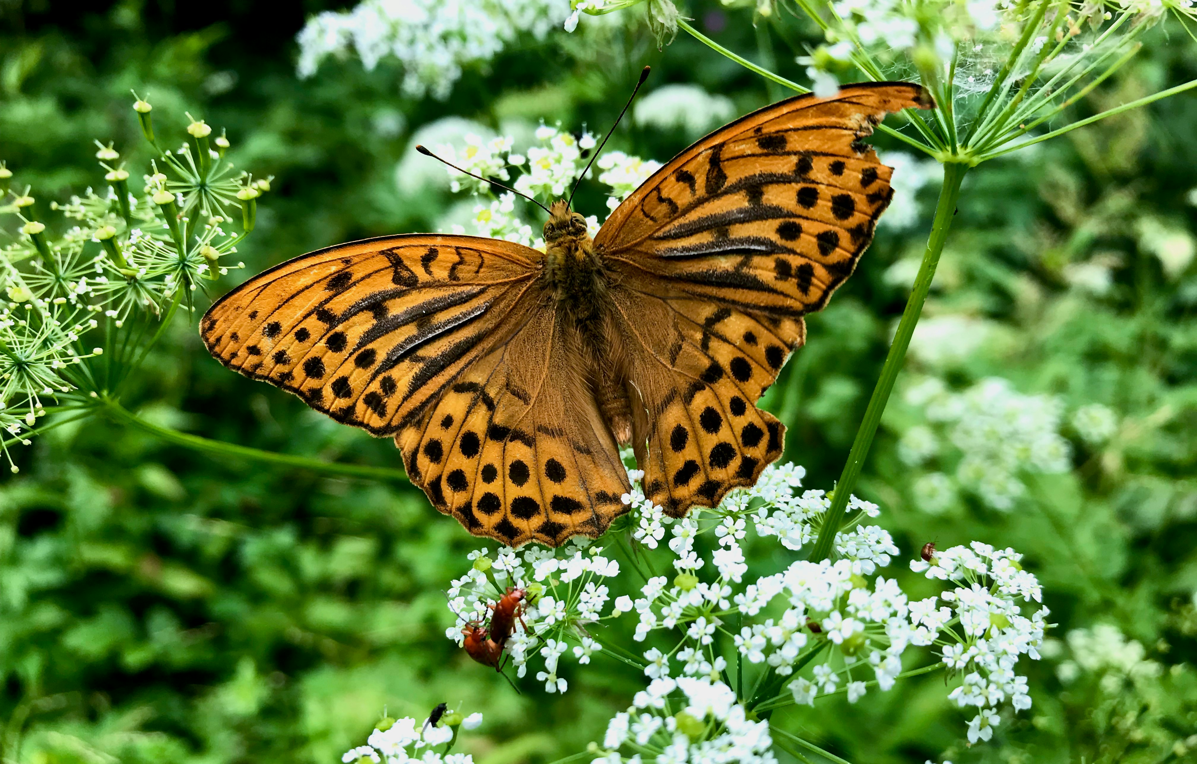 Photo by evgenslavin