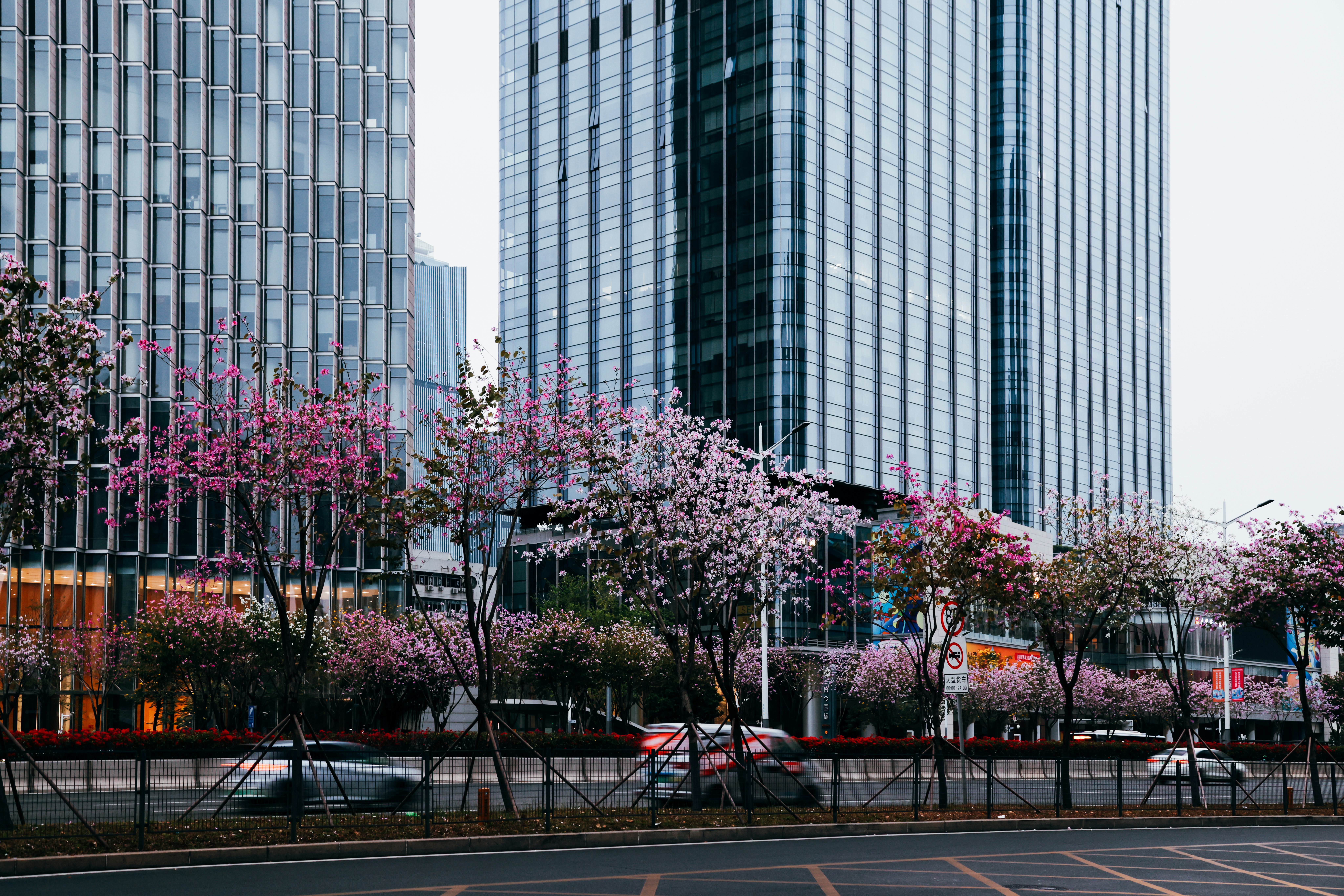 Photo by dickenslin76