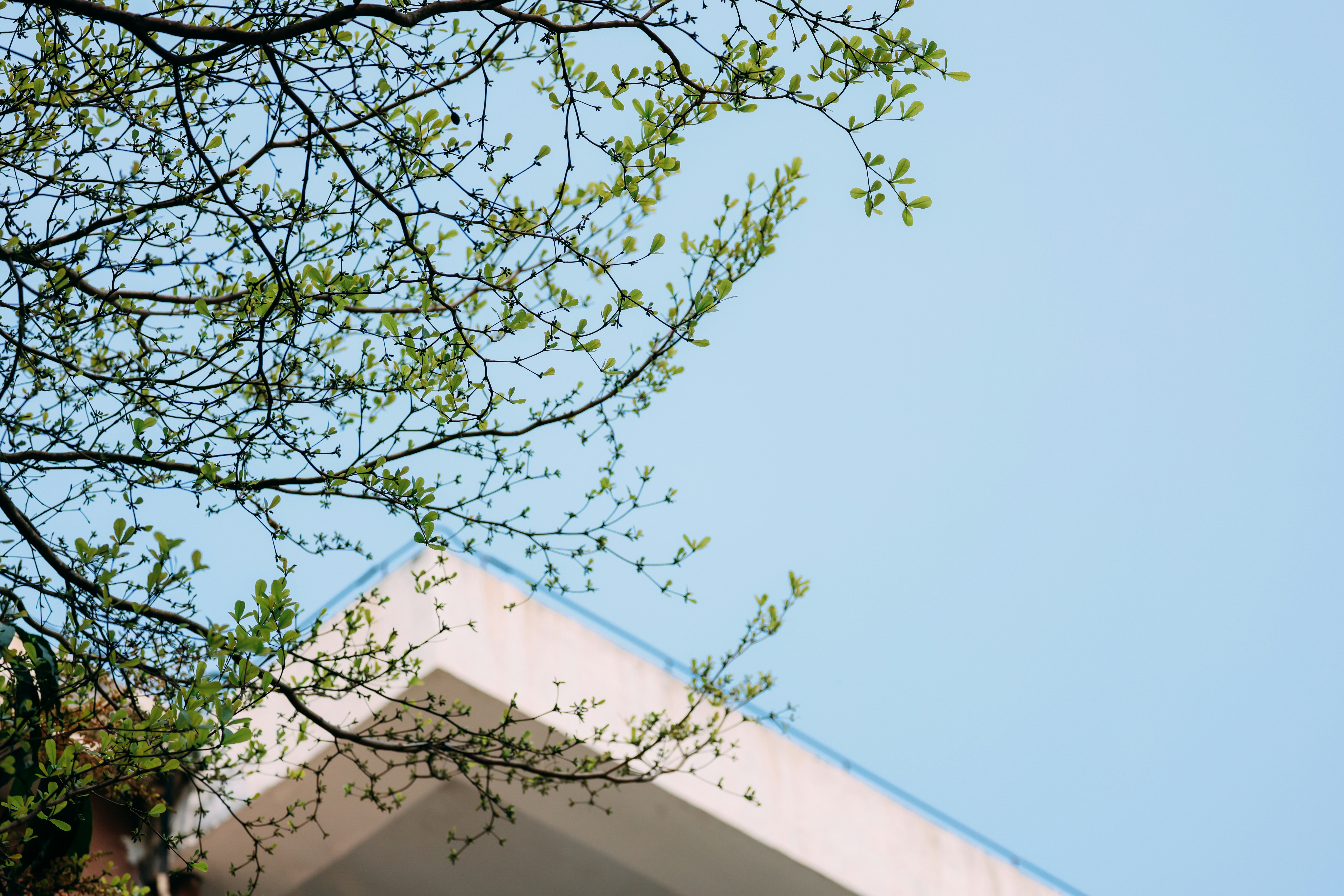 Photo by dickenslin76