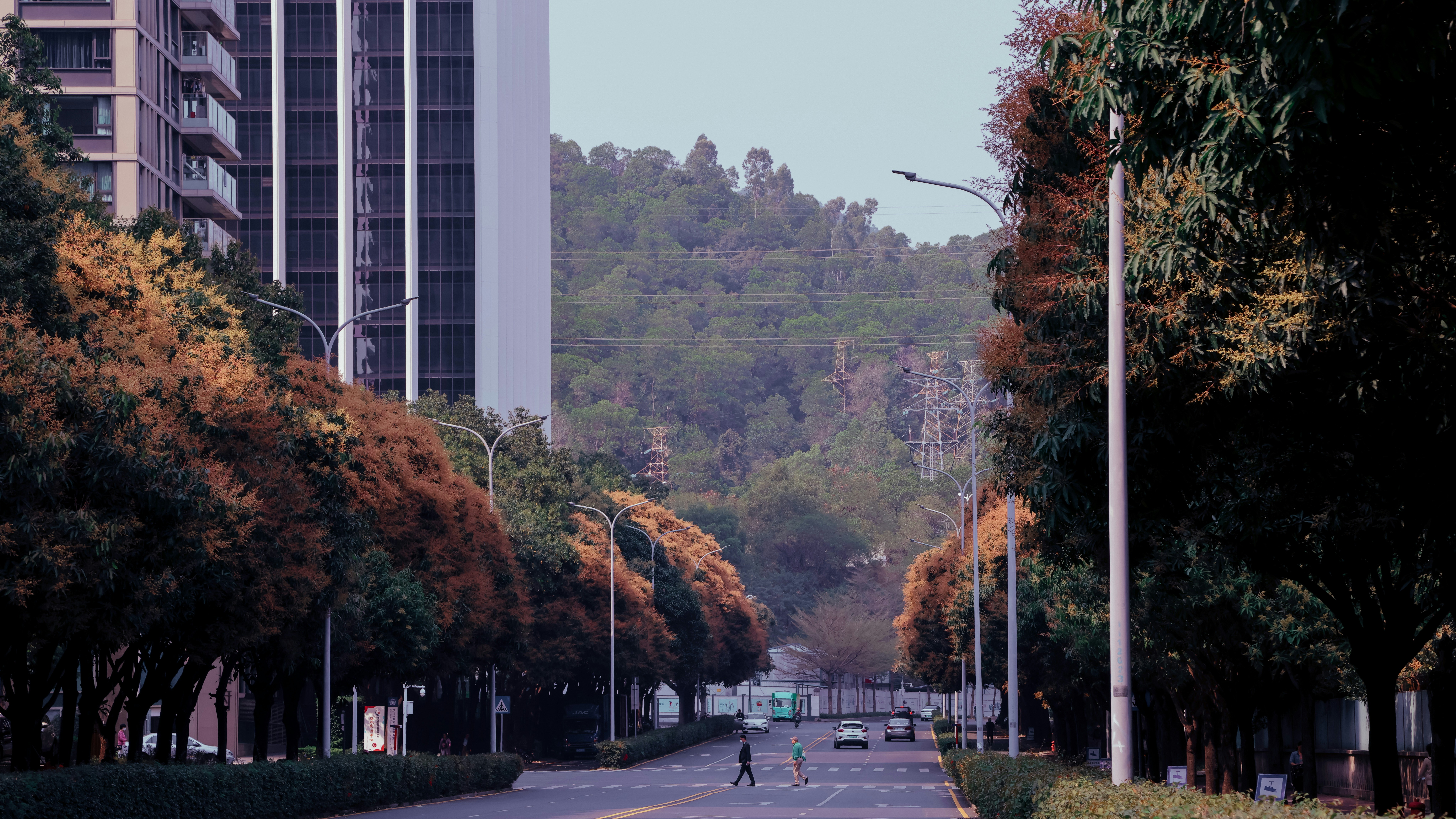 Photo by dickenslin76